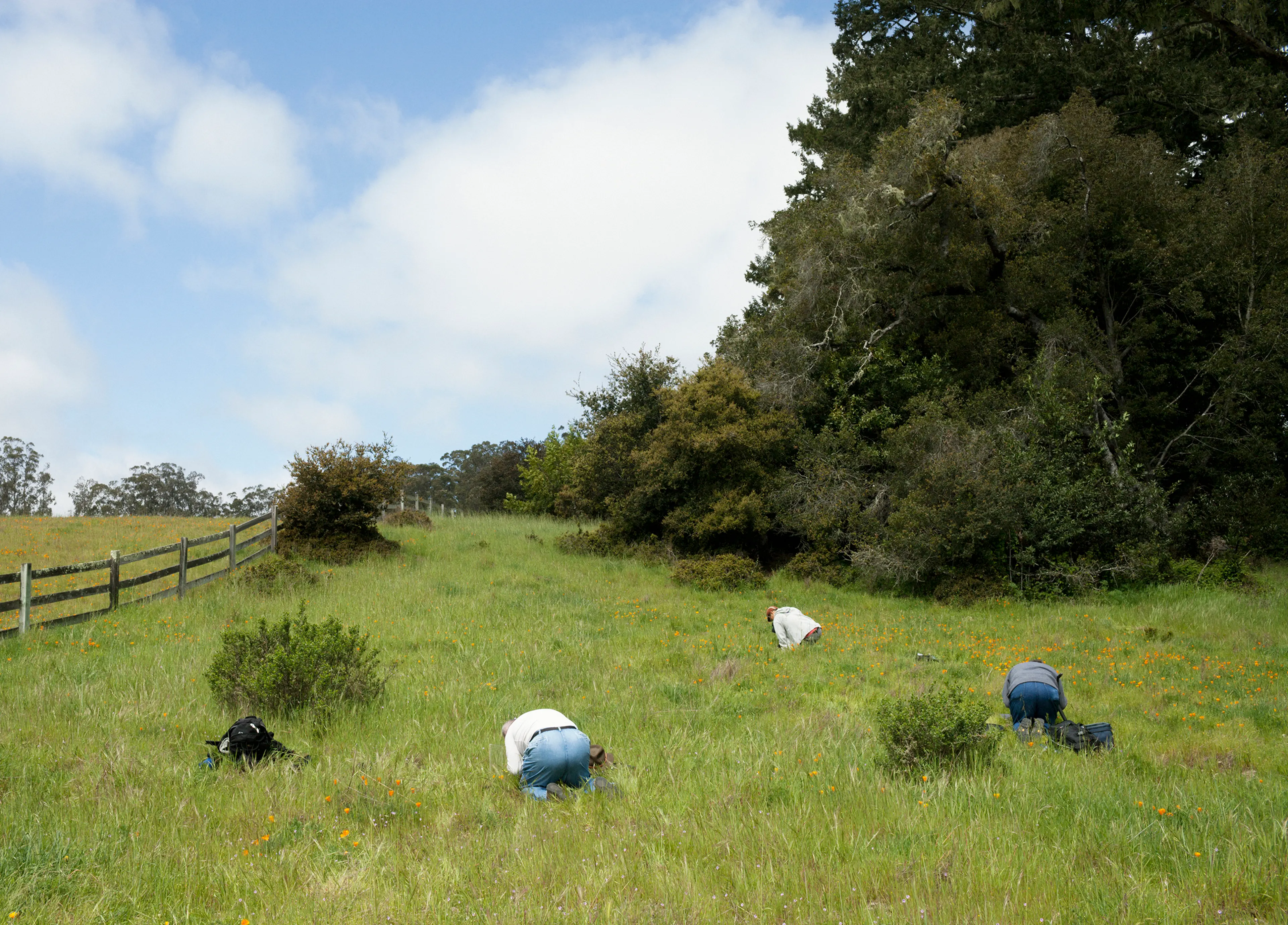San Andreas Fault, California: Macro photography workshop at Bear Valley Visitor Center, Olema, Point Reyes.Photo: Knut Egil Wang/Moment/Institute