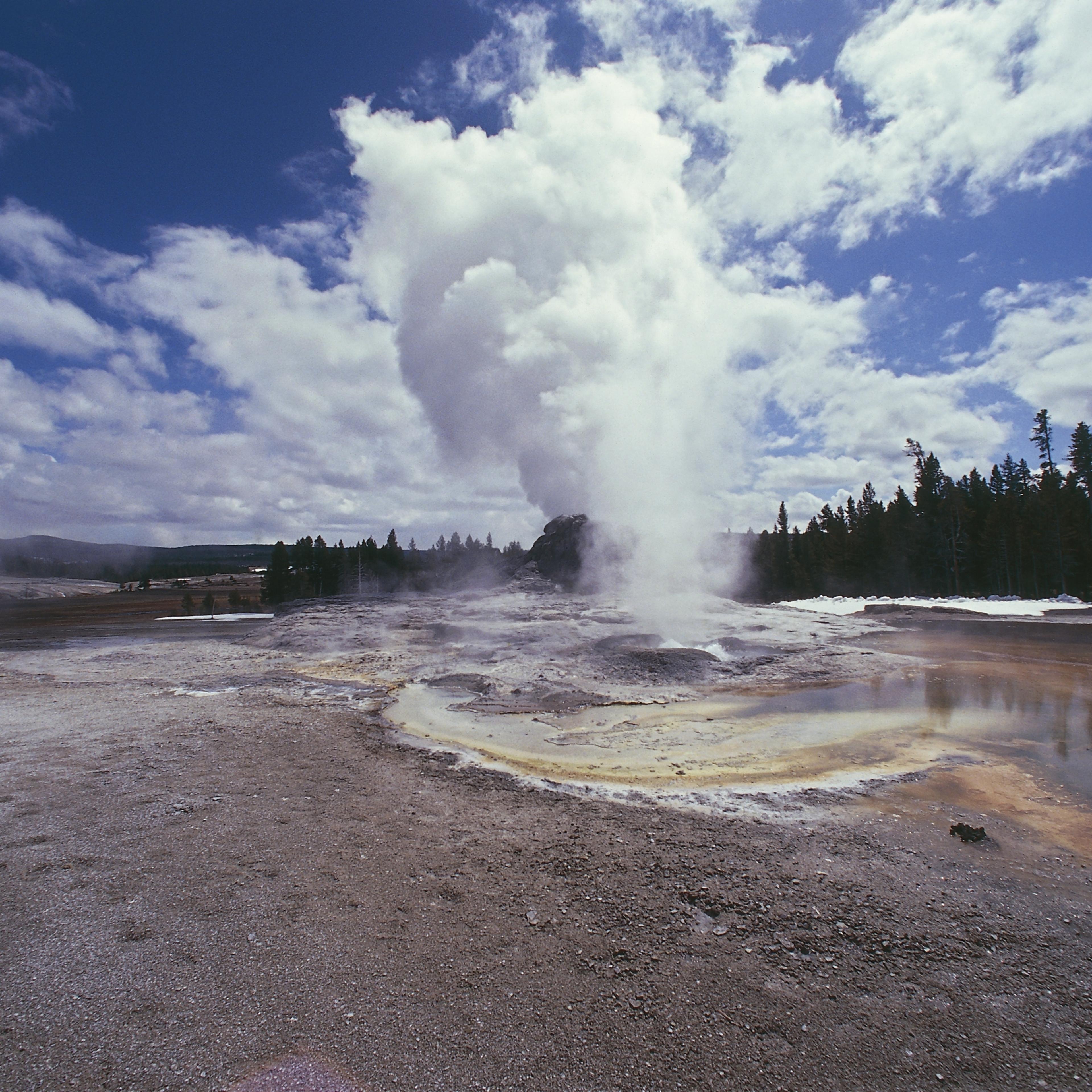 USA, Wyoming, Yellowstone National Park (UNESCO World Heritage List, 1976). Region of geysers, Castle Geyser