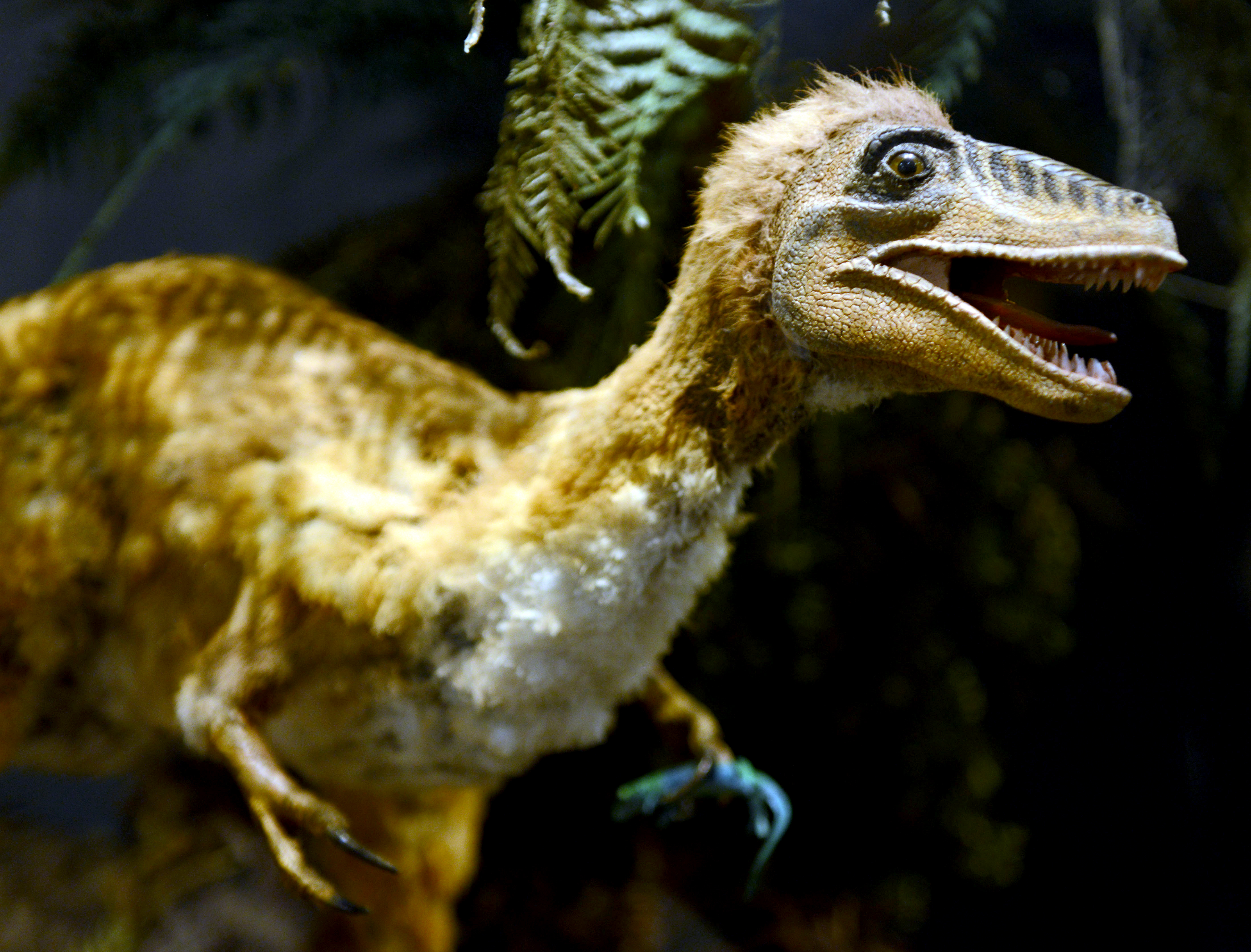 Exhibition on dinosaurs in Muenster