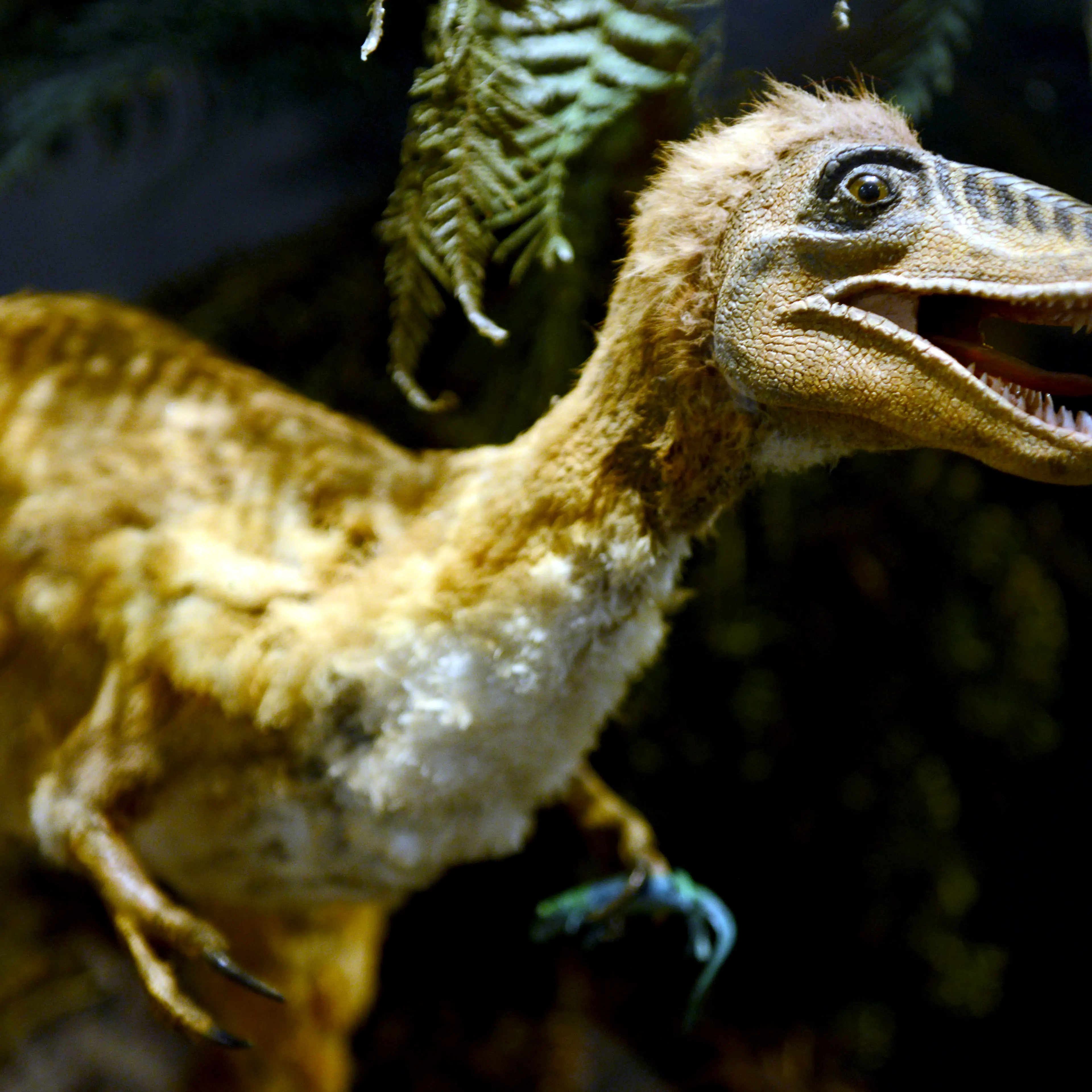Exhibition on dinosaurs in Muenster