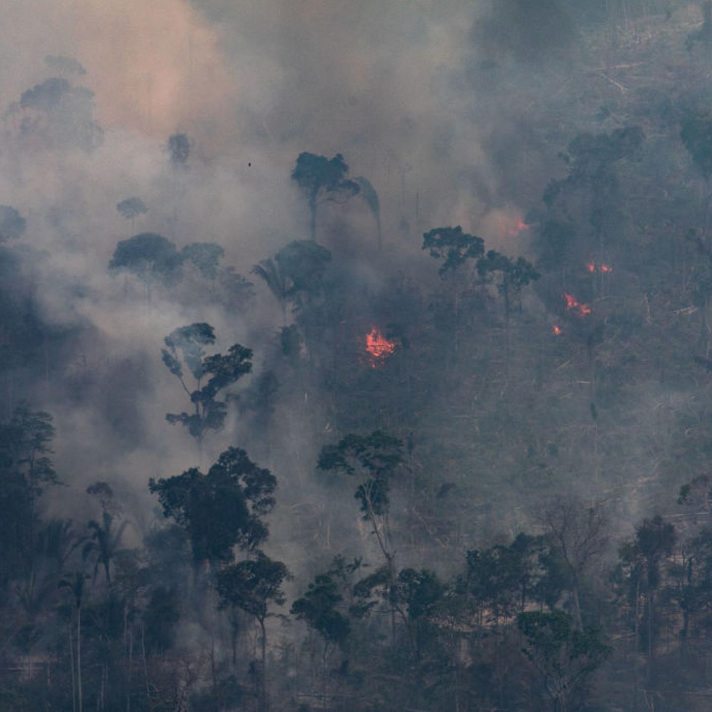 Record Number Of Fires Torch Brazil's Amazon Forest
