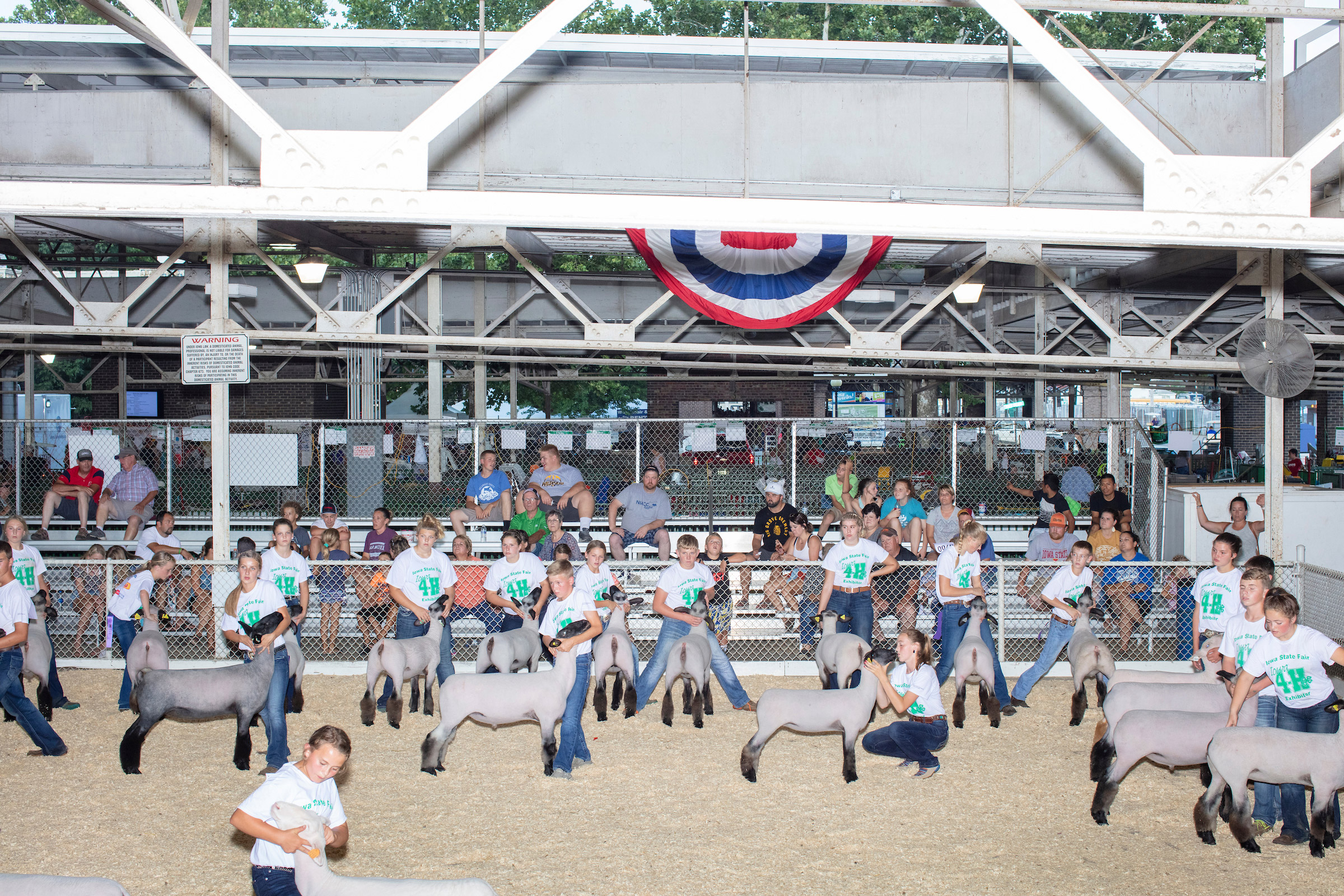 Children take part in the Intermediate 4-H Sheep Showmanship competition in the Sheep Barn at the Iowa State Fair in Des, Moines, Iowa, on Sun., Aug. 11, 2019. The competitors are judged on their ability to display and control the sheep rather than on th