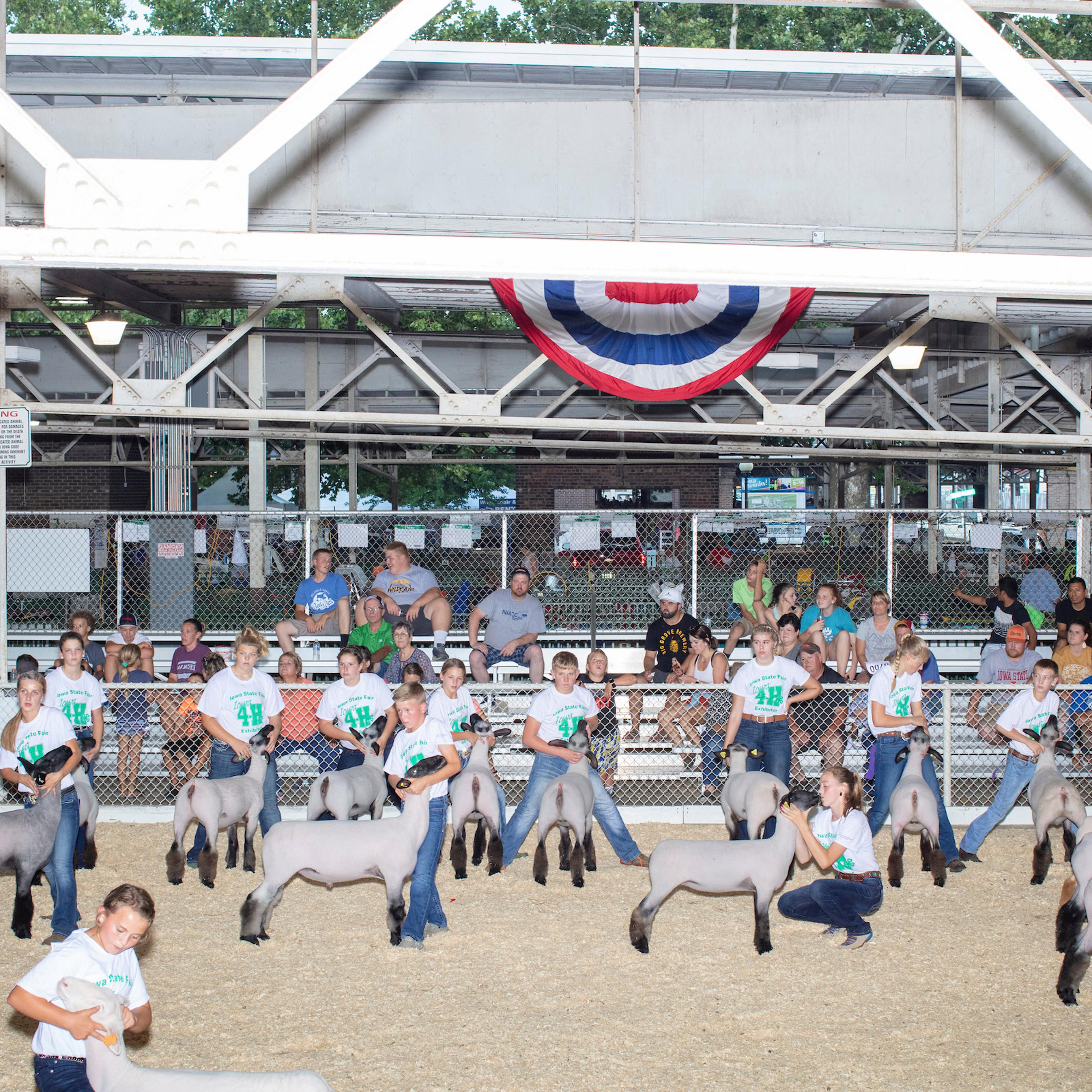 Children take part in the Intermediate 4-H Sheep Showmanship competition in the Sheep Barn at the Iowa State Fair in Des, Moines, Iowa, on Sun., Aug. 11, 2019. The competitors are judged on their ability to display and control the sheep rather than on th