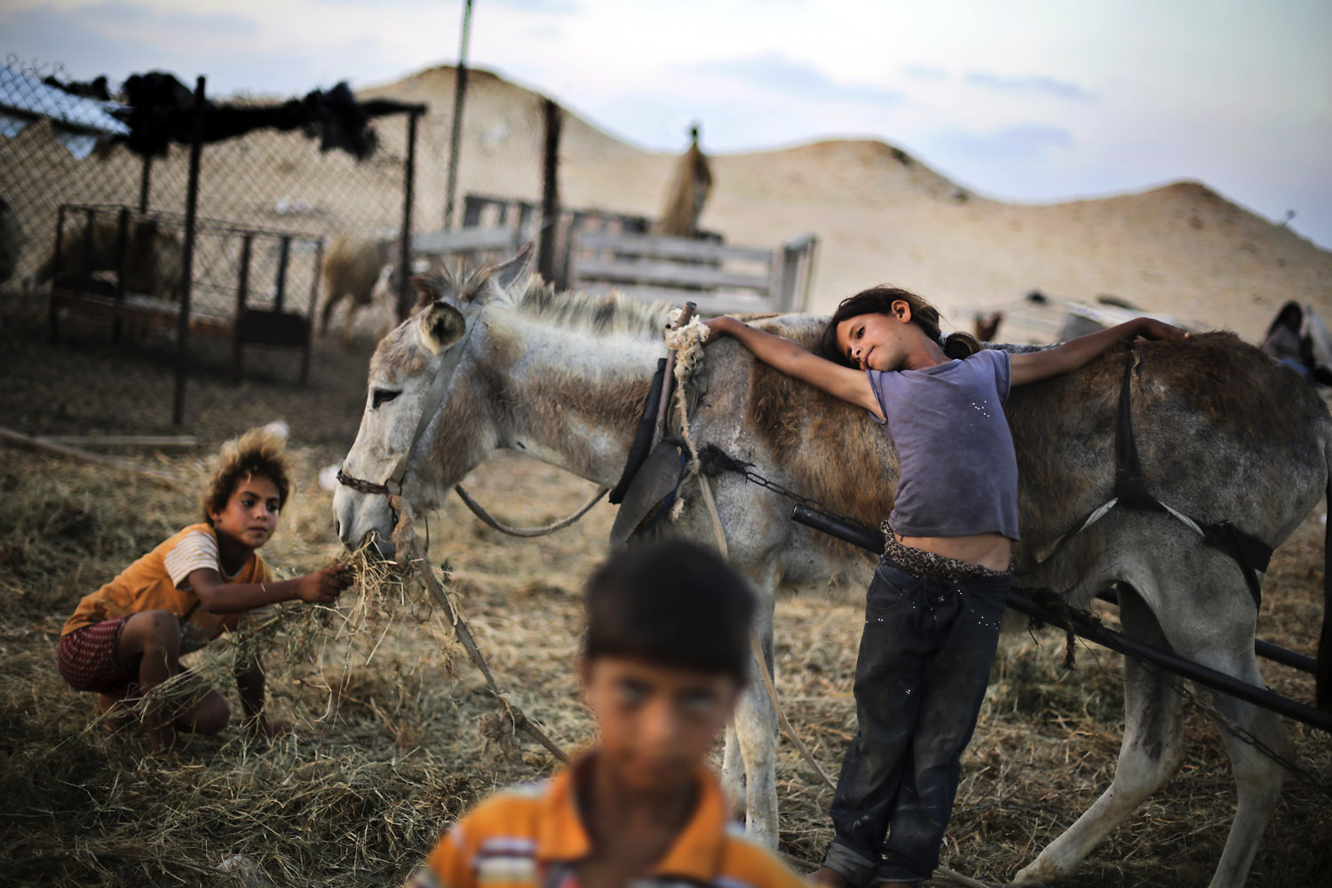 Younis in Gaza