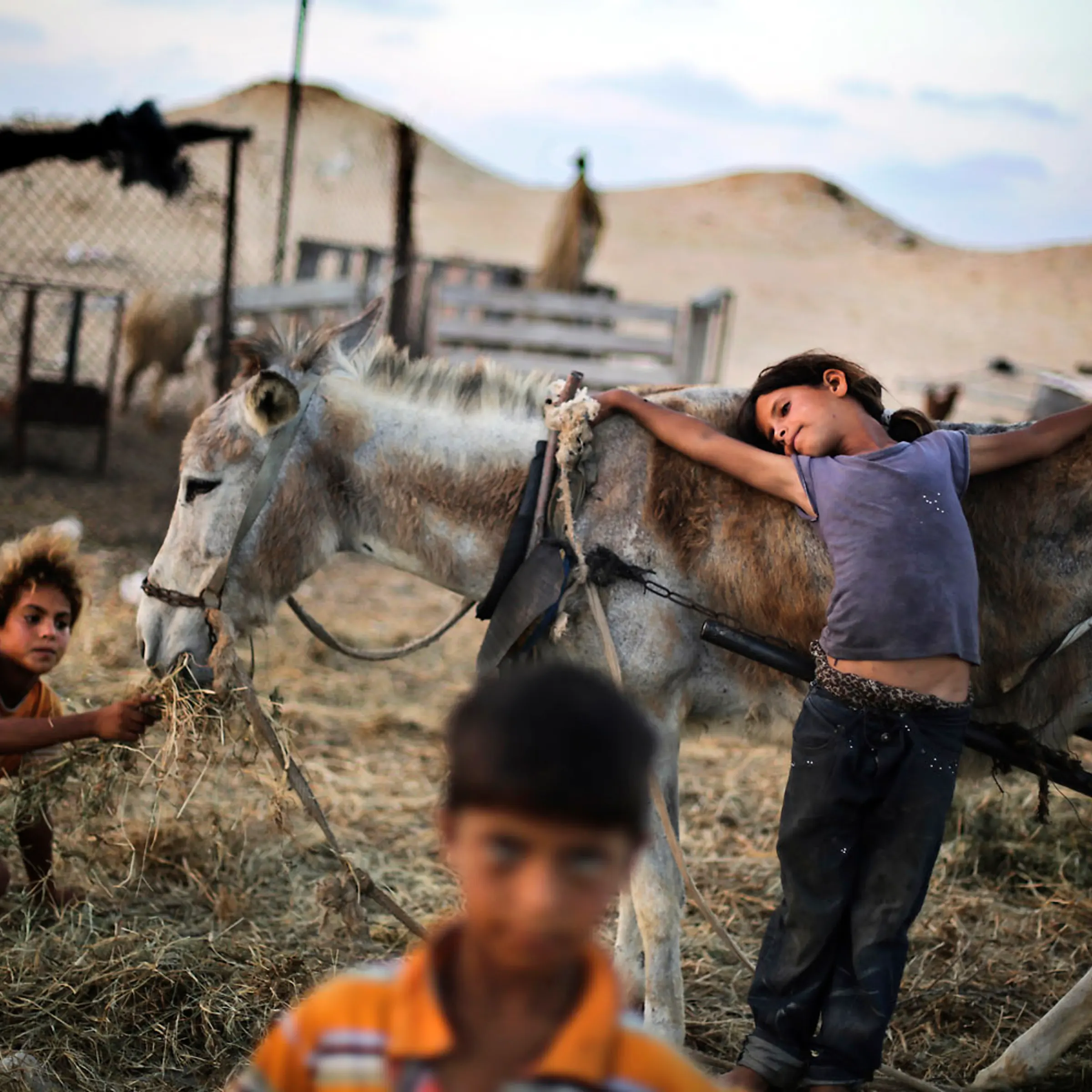 Younis in Gaza