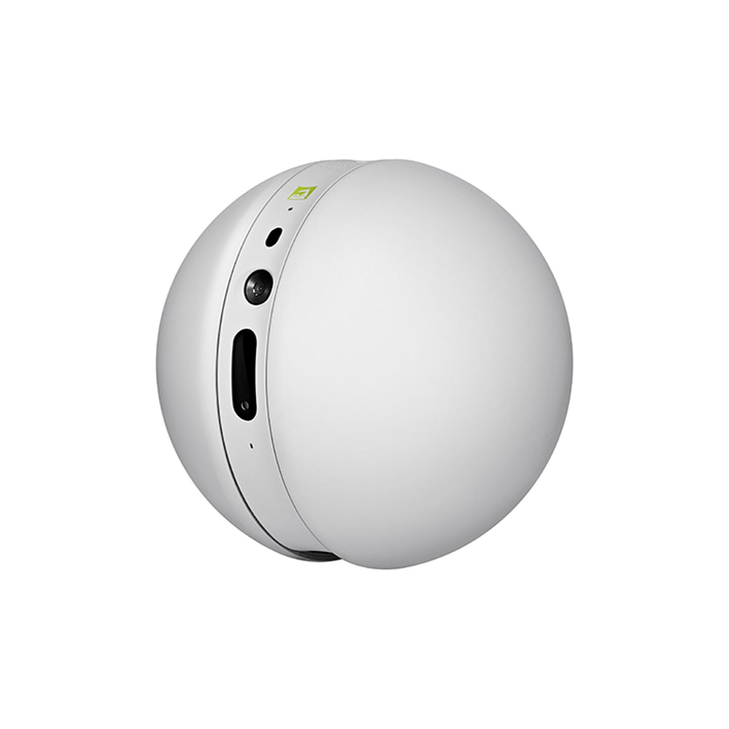 LG Rolling Bot