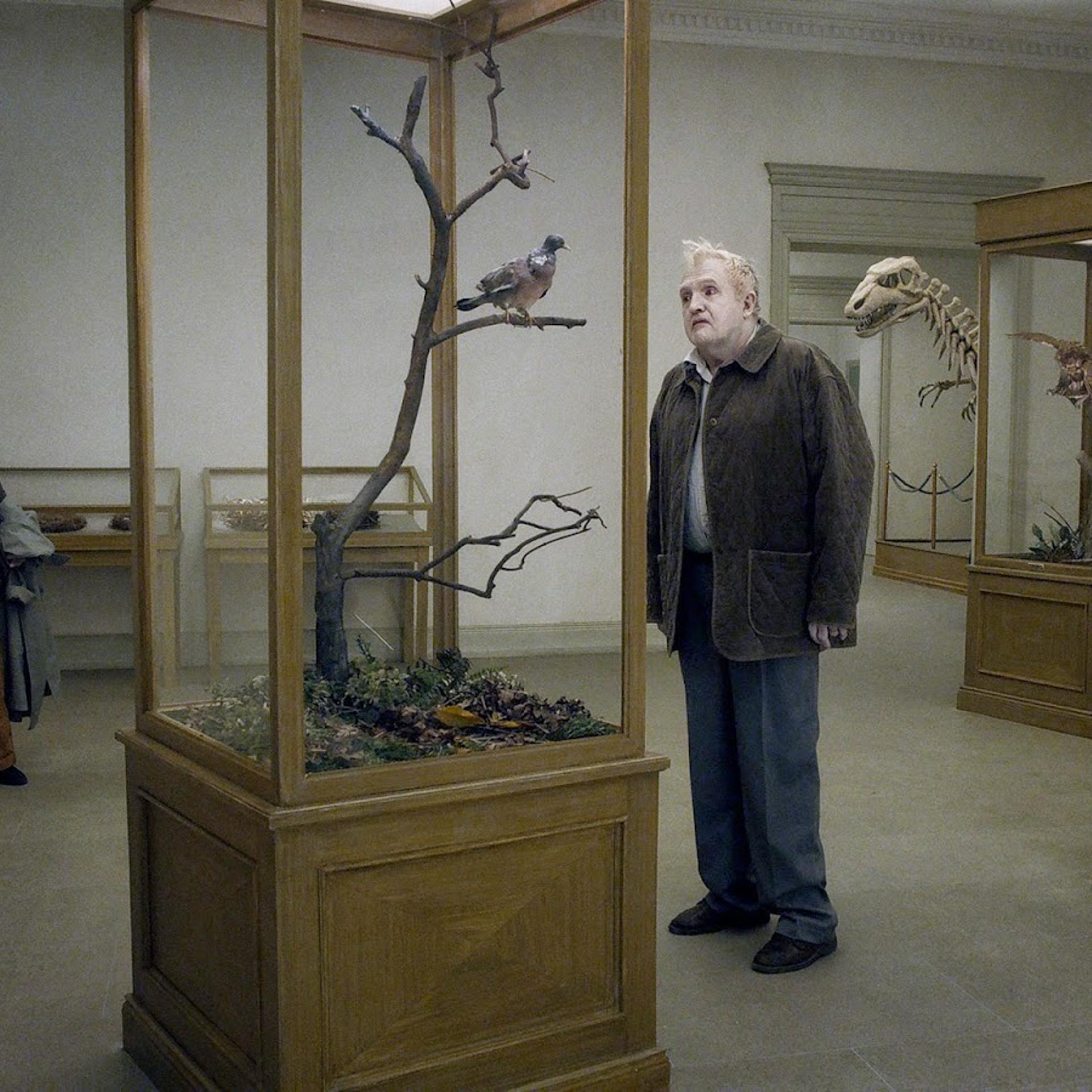 A Pigeon Sat on a Branch Reflecting on Existence