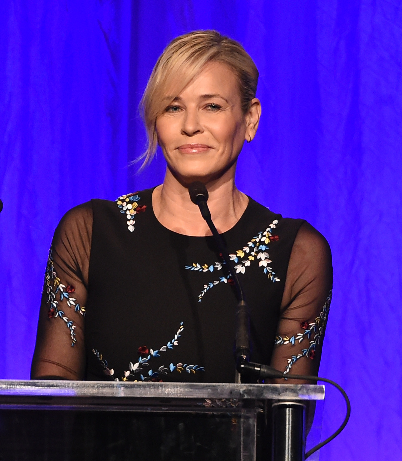 Hollywood Foreign Press Association's Grants Banquet - Show