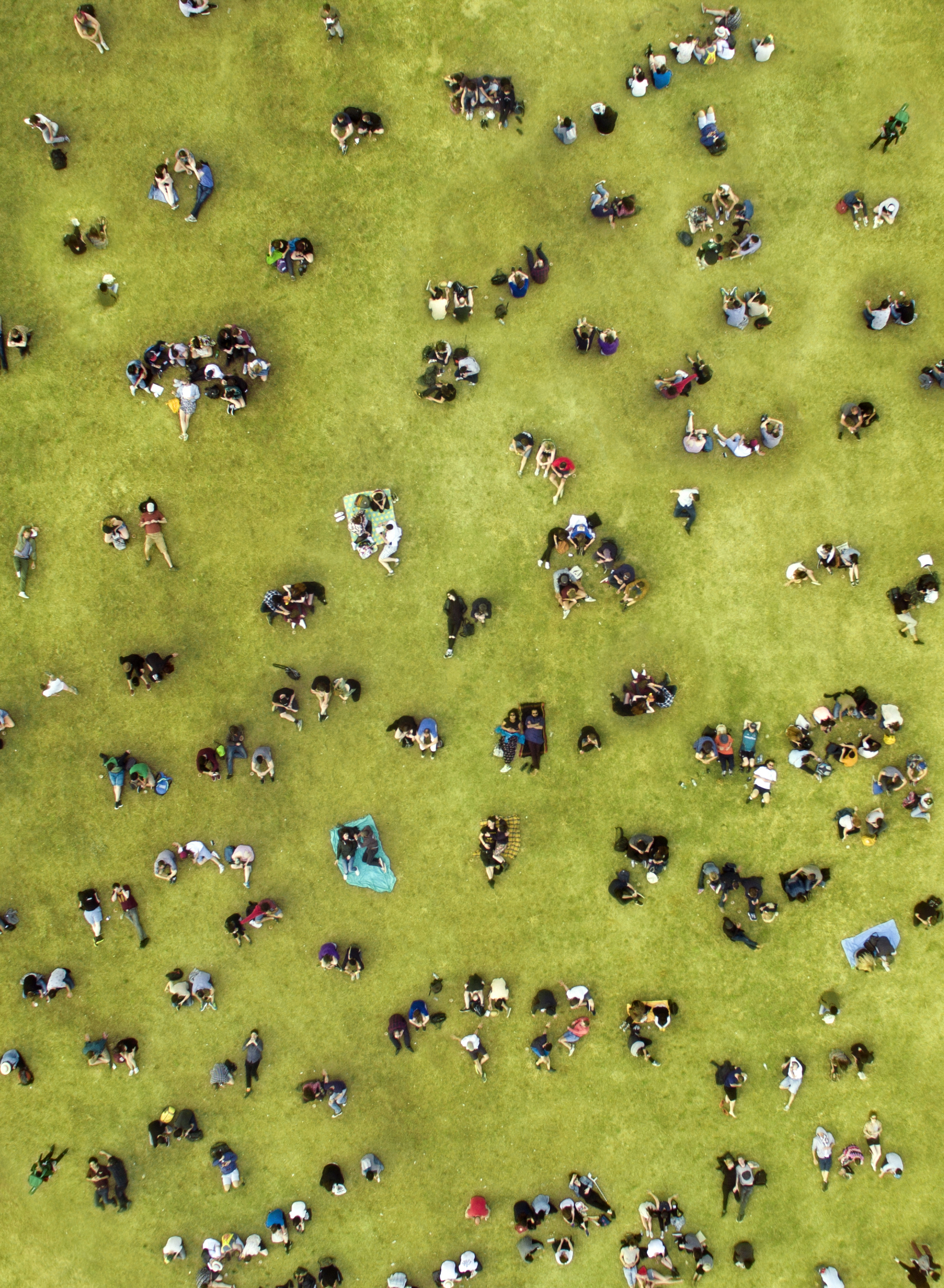 People sunbathing at central park