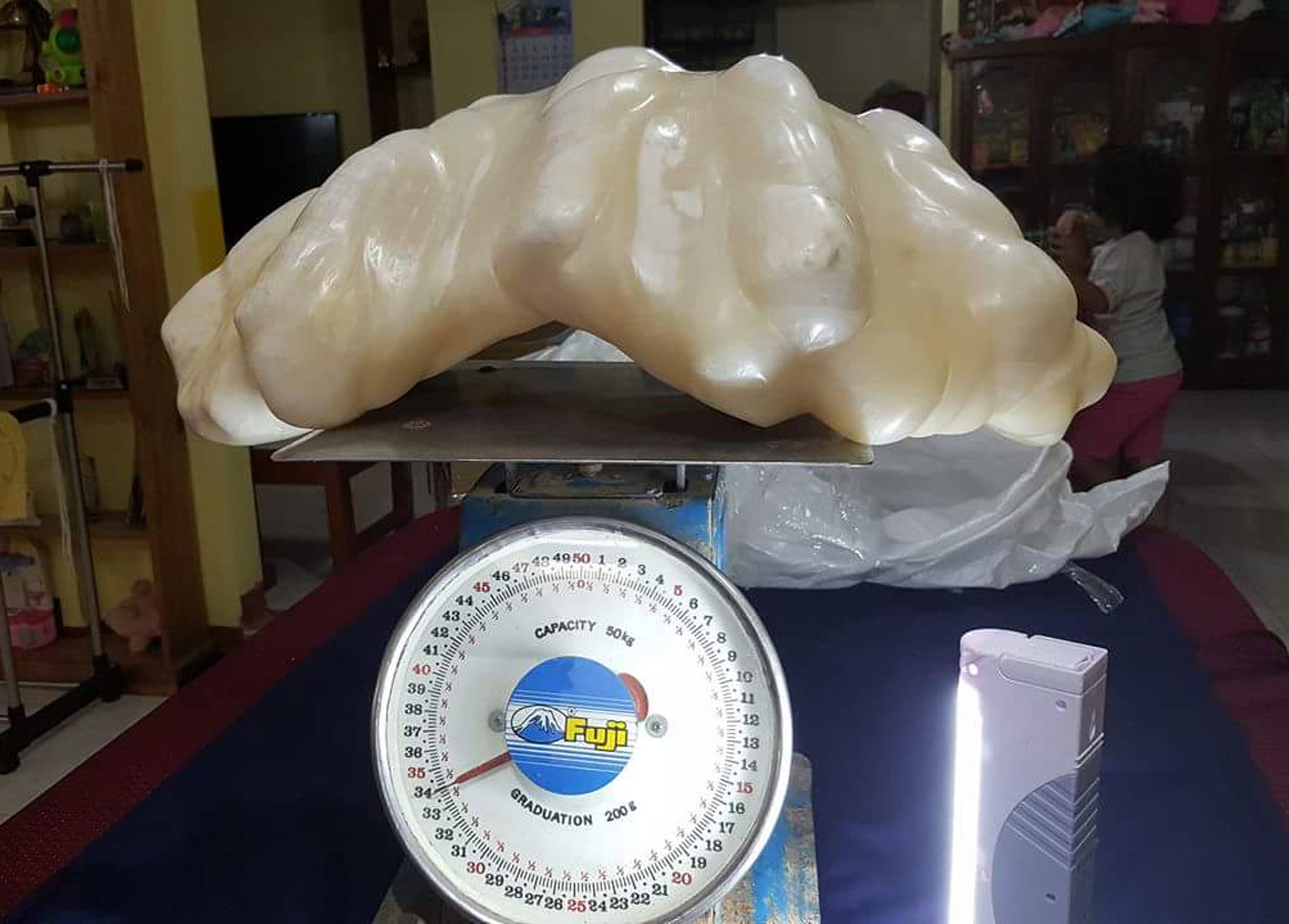 A pearl of 34 kilogram awaiting certification as the biggest in the world