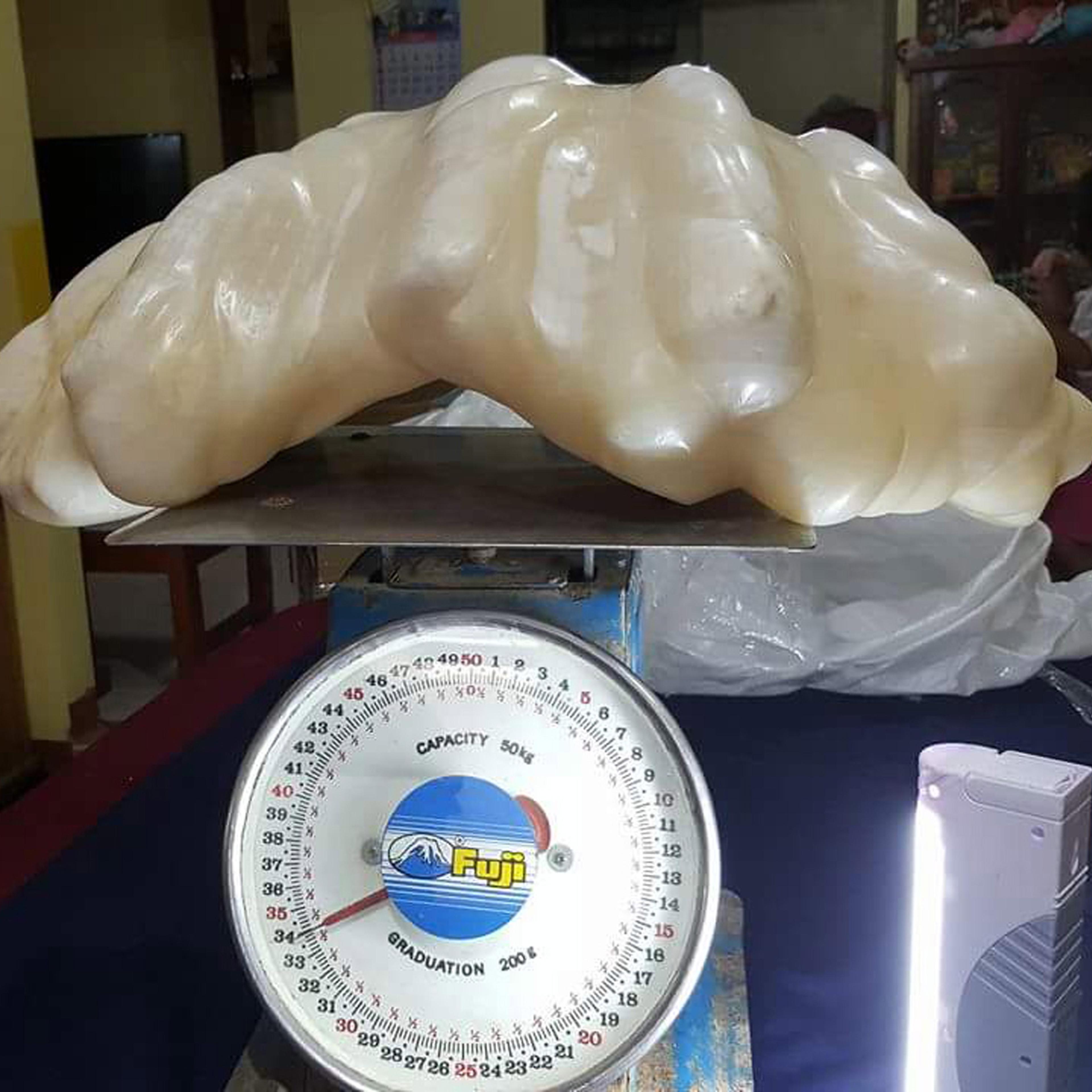 A pearl of 34 kilogram awaiting certification as the biggest in the world
