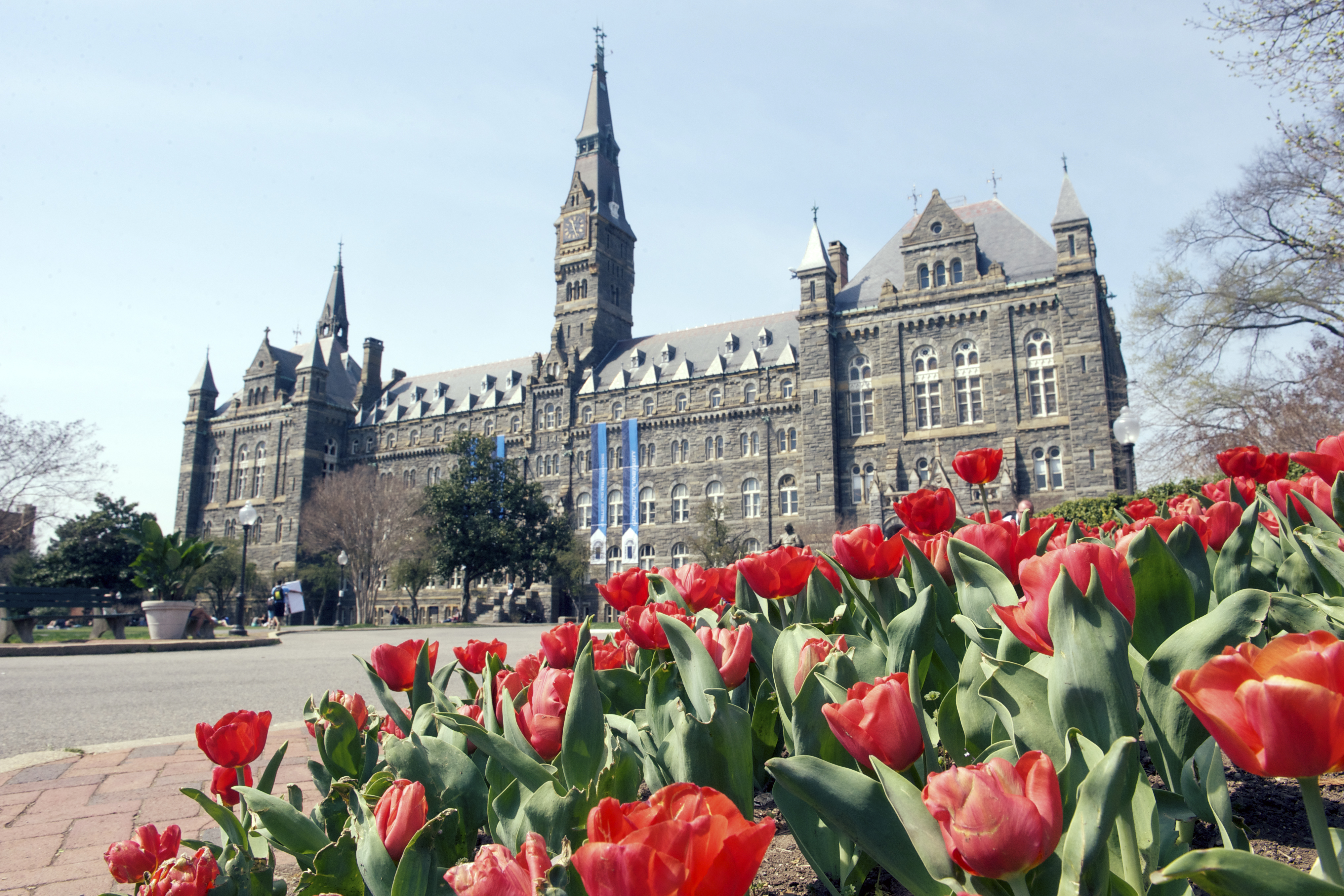 160908_COLL_BusSchools_Georgetown