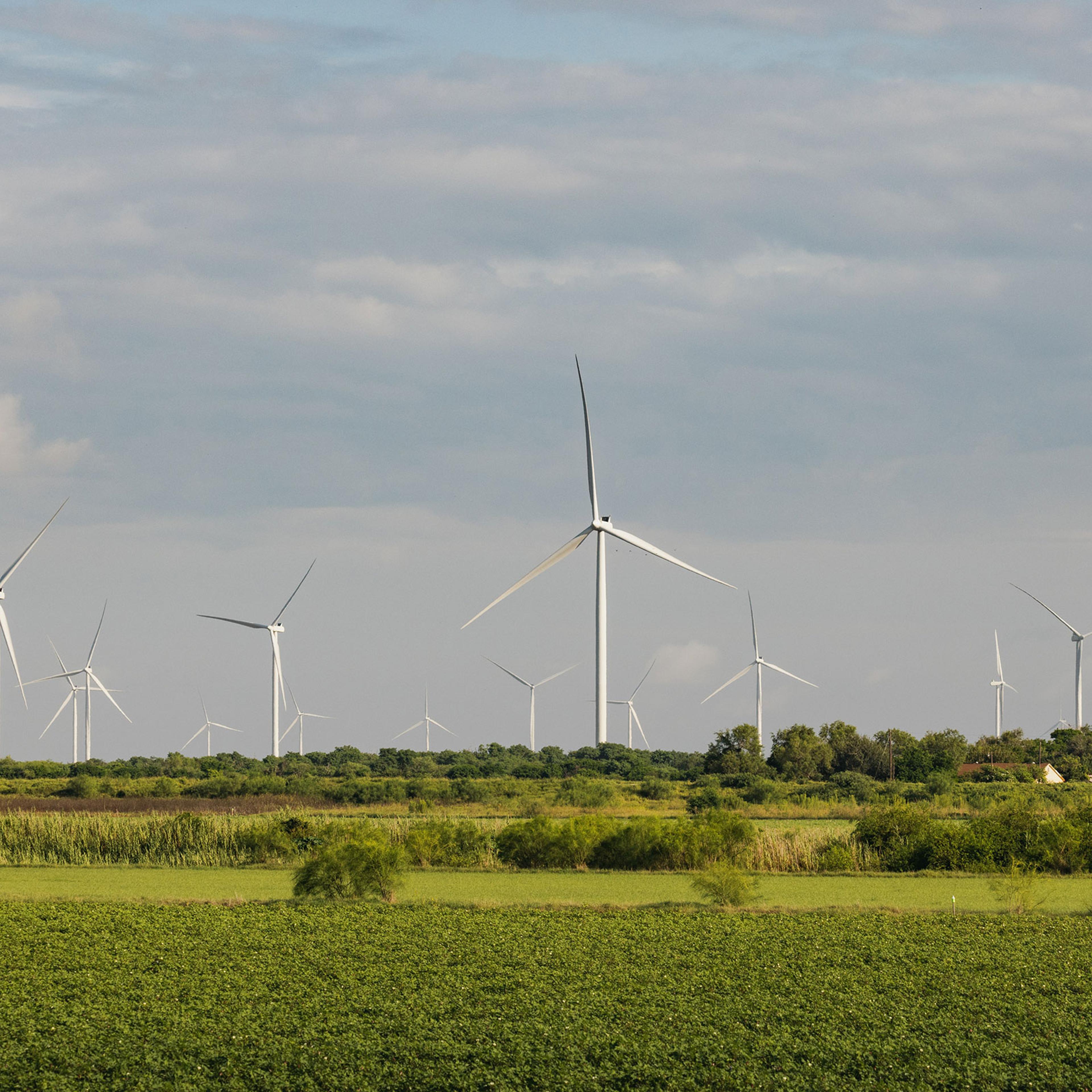 Texas green energy transition