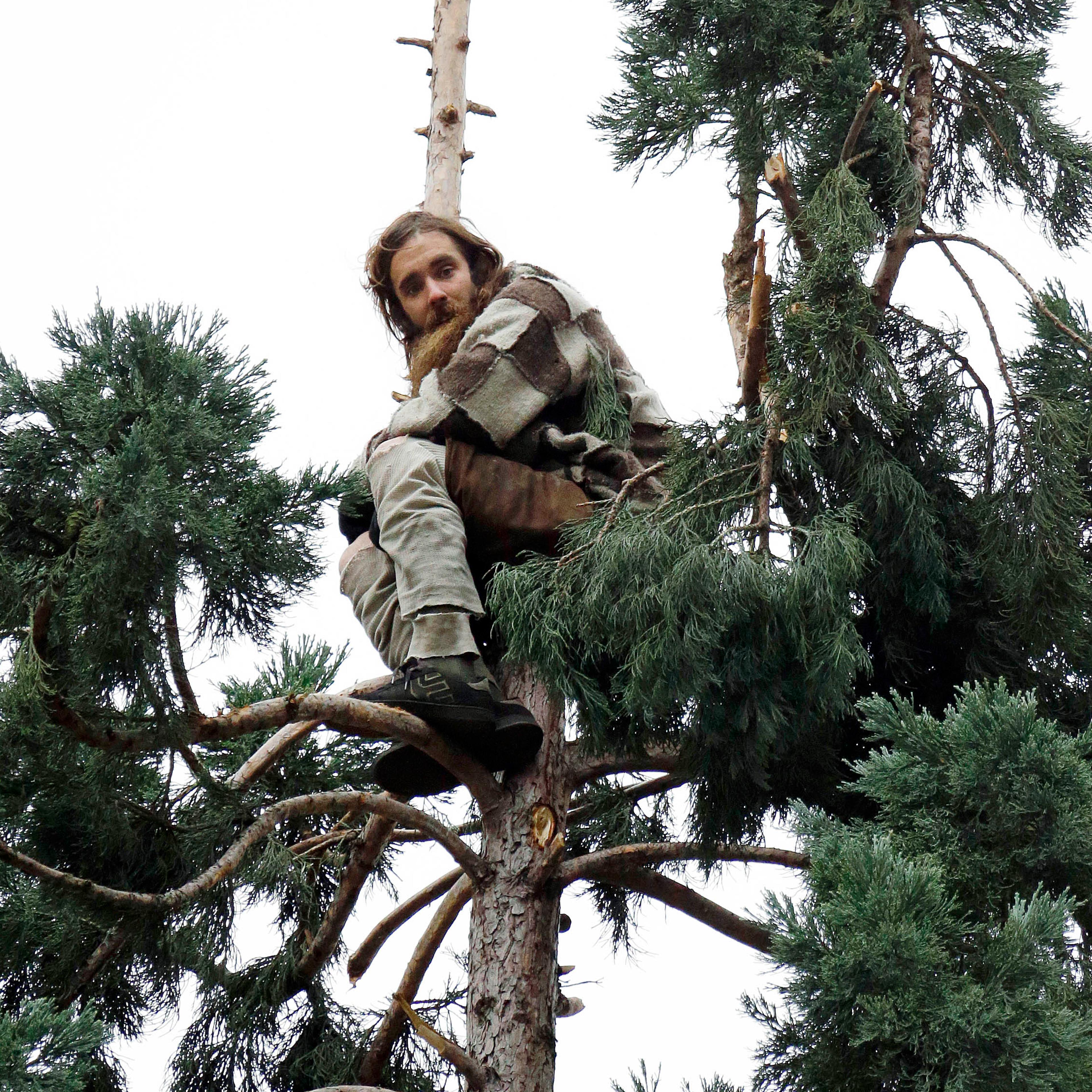 Cody Lee Miller sits near the top of a tree in downtown Seattle on March 23, 2016.