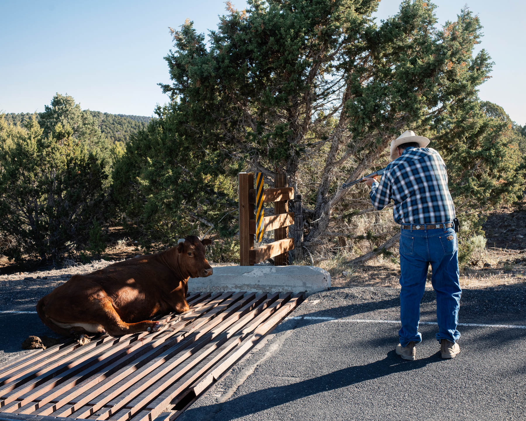 Image from article: Extreme Heat in American West Shows Climate Change Is Here