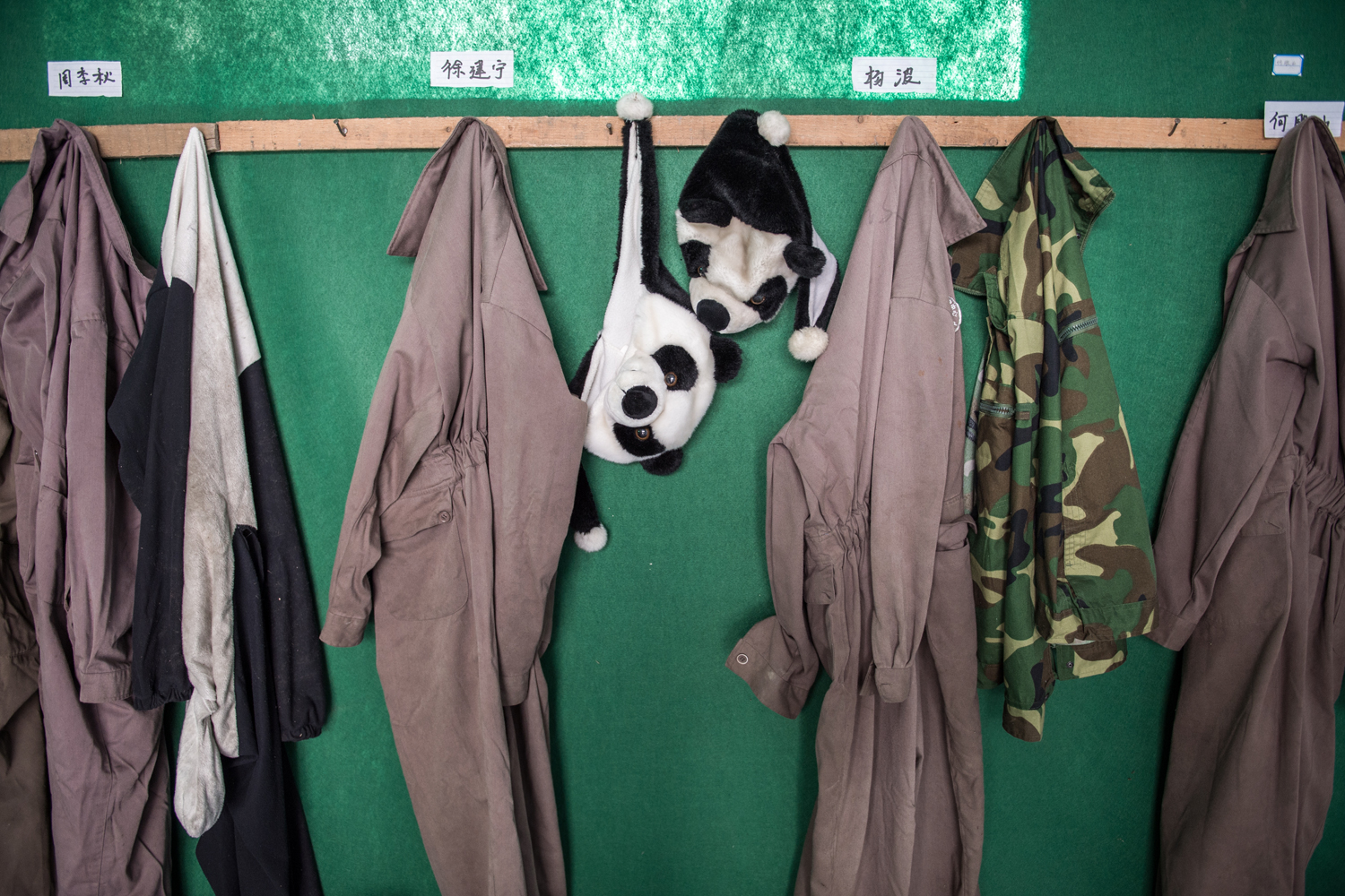 Inside The (Not So) Secret World of Pandas