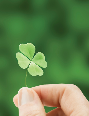 four-leaf-clover
