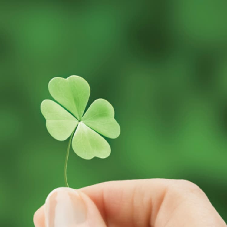 four-leaf-clover