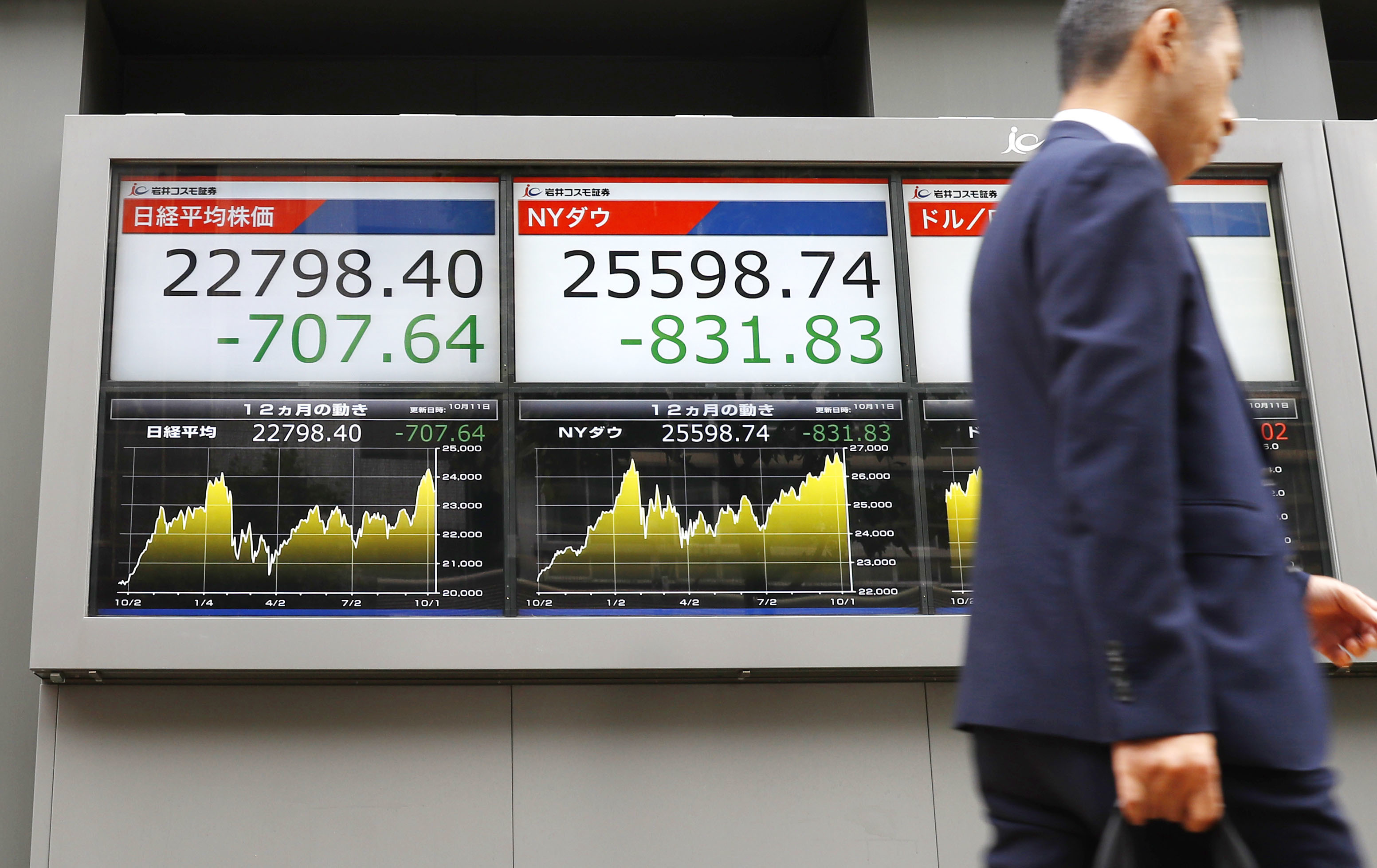 Tokyo stocks plunge