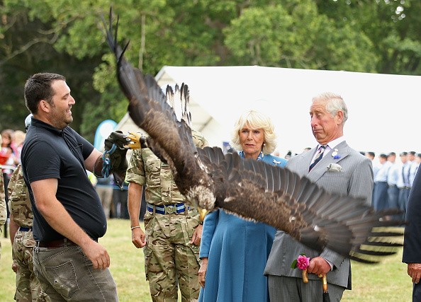 Sandingham Flower Show
