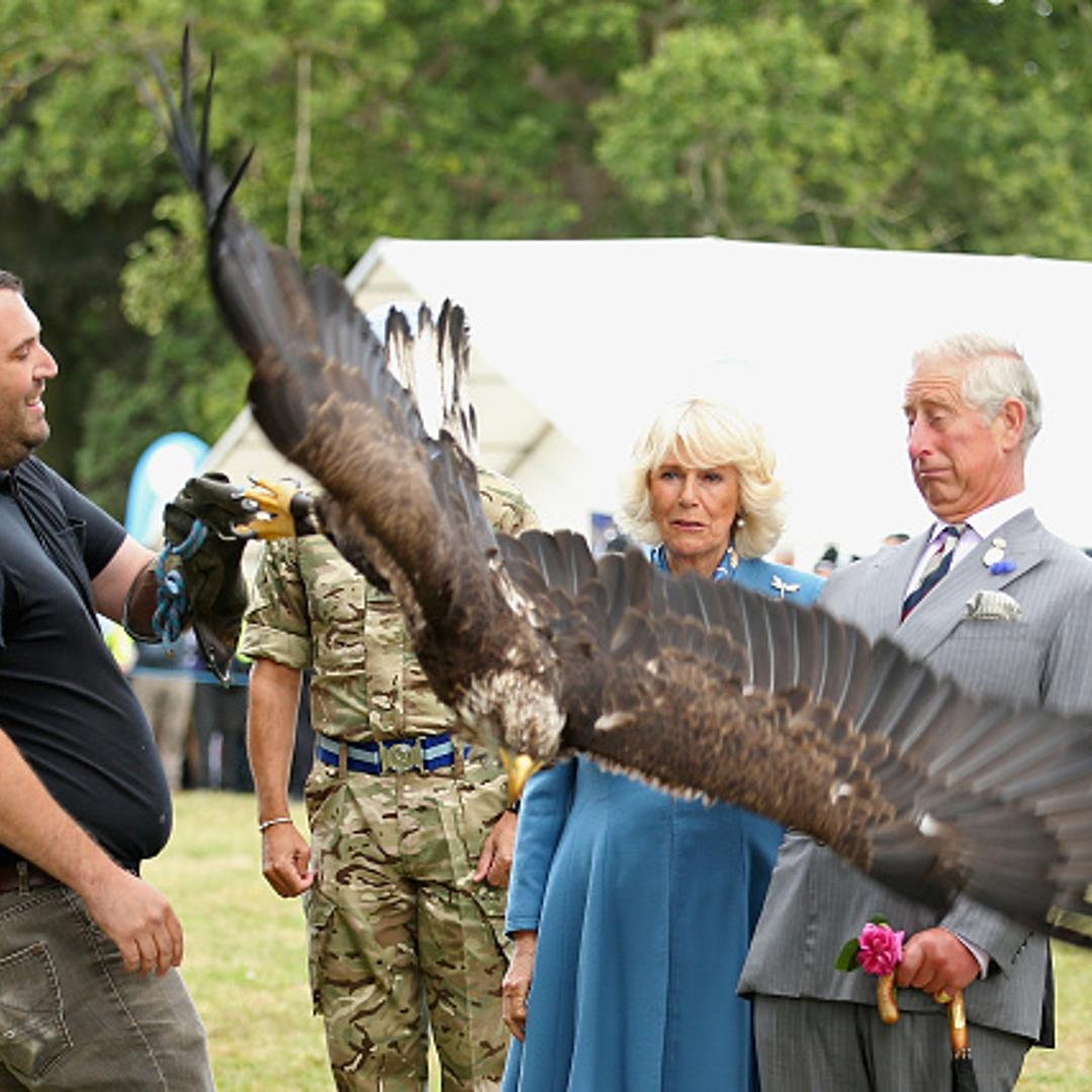 Sandingham Flower Show