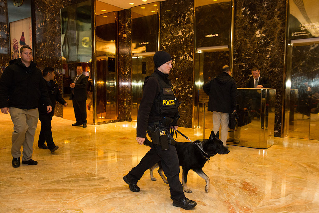 President-Elect Donald Trump Holds Meetings At His Trump Tower Residence In New York