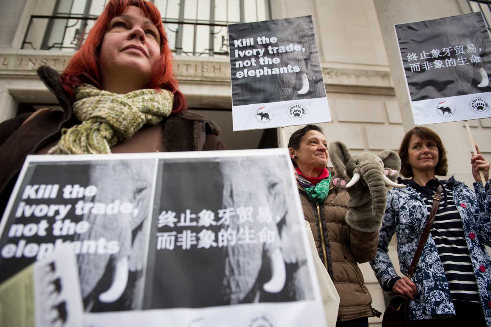 A protester with a banner displaying Chinese characters joins a demonstration outside the Chinese embassy in London, on Jan. 25, 2014, to call for an end to the ivory trade in China.