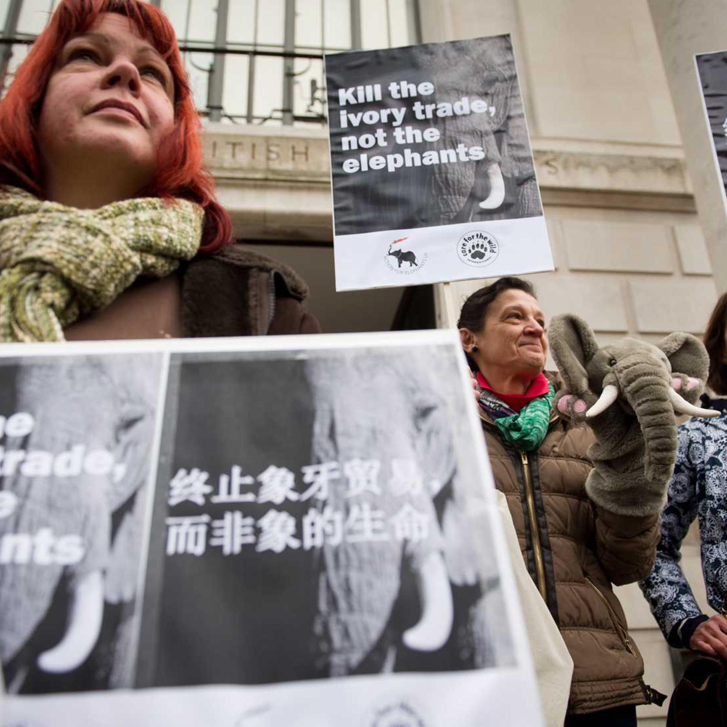 A protester with a banner displaying Chinese characters joins a demonstration outside the Chinese embassy in London, on Jan. 25, 2014, to call for an end to the ivory trade in China.