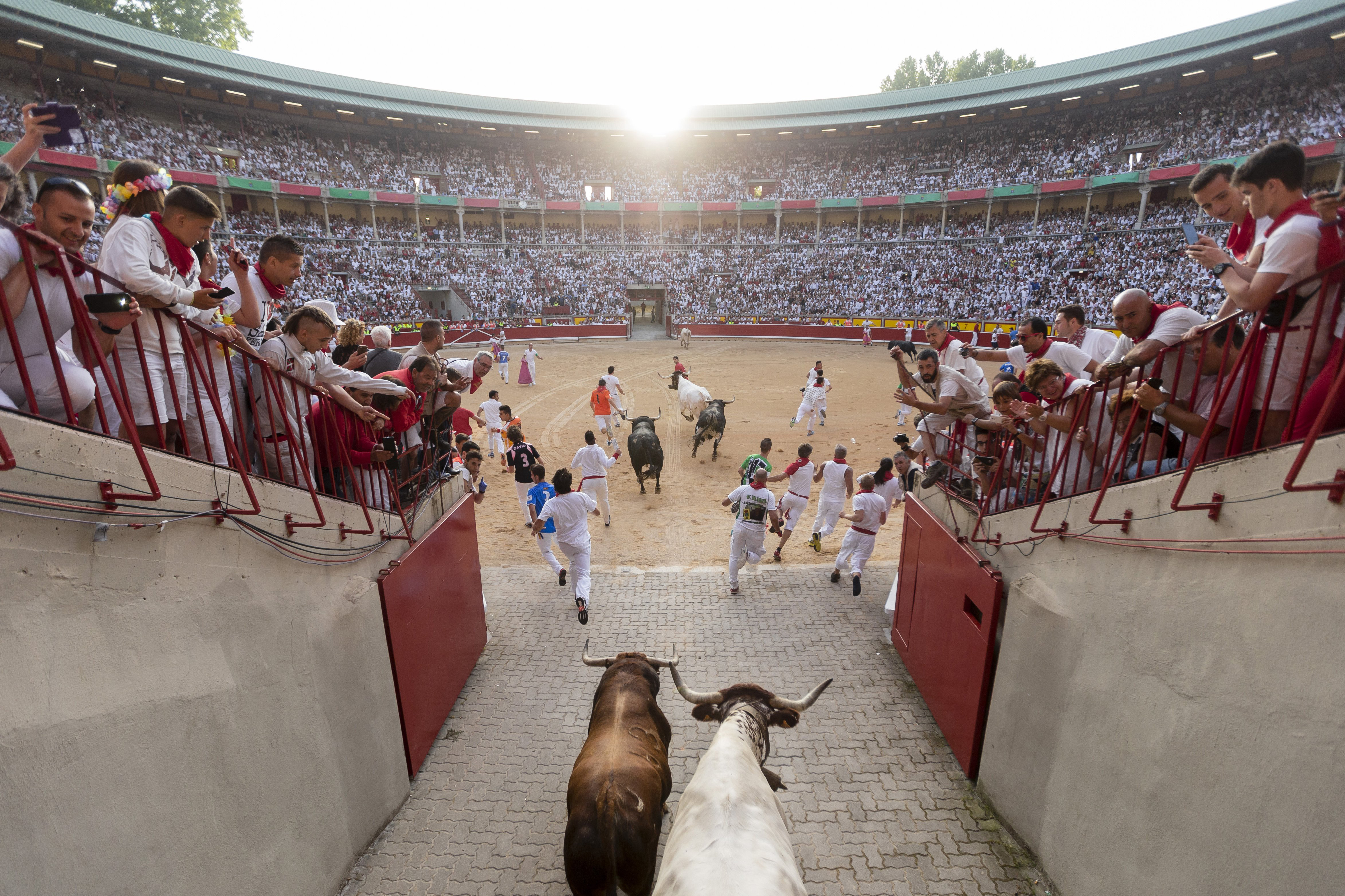 Spain San Fermin running bulls pamplona
