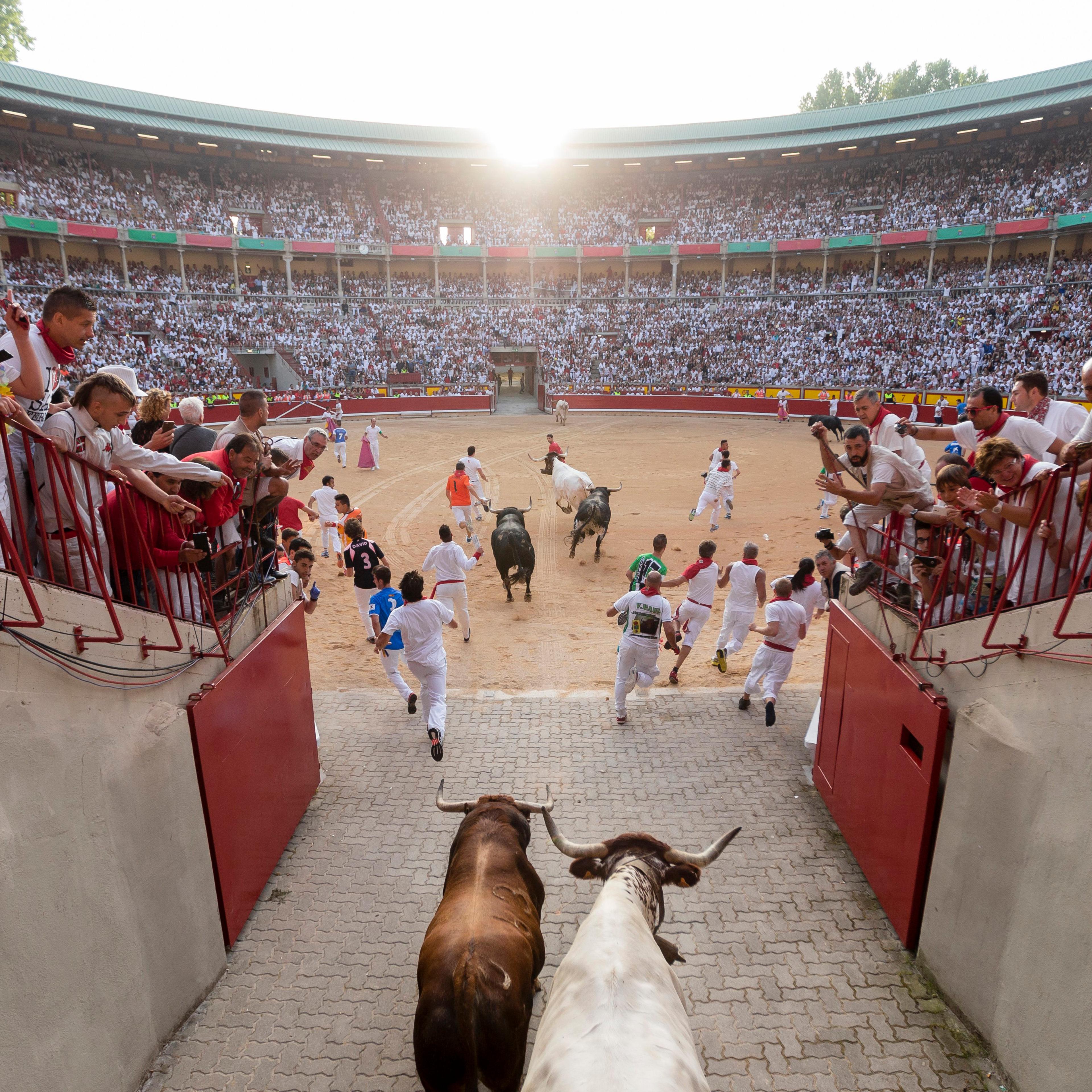 Spain San Fermin running bulls pamplona
