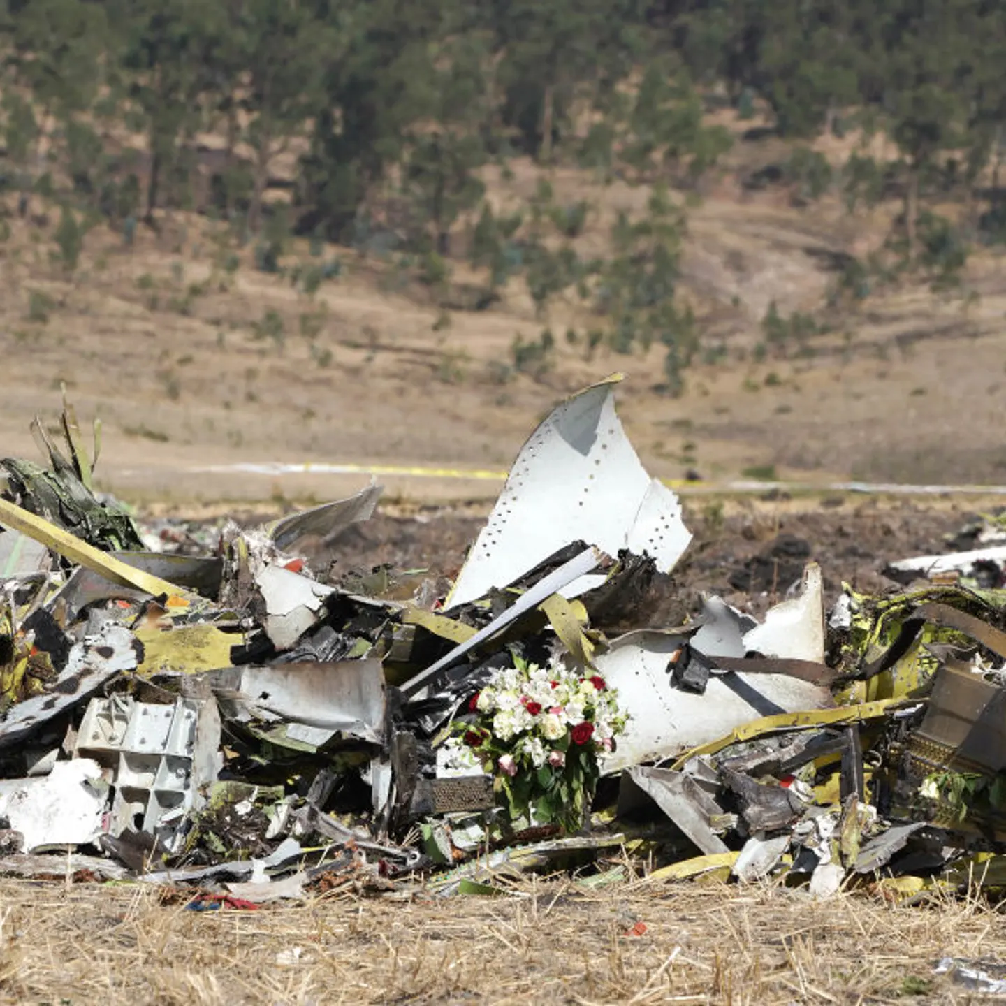 A bouquet of flowers is placed in front of a pile of debris at the scene of the Ethiopian Airlines Flight 302 crash