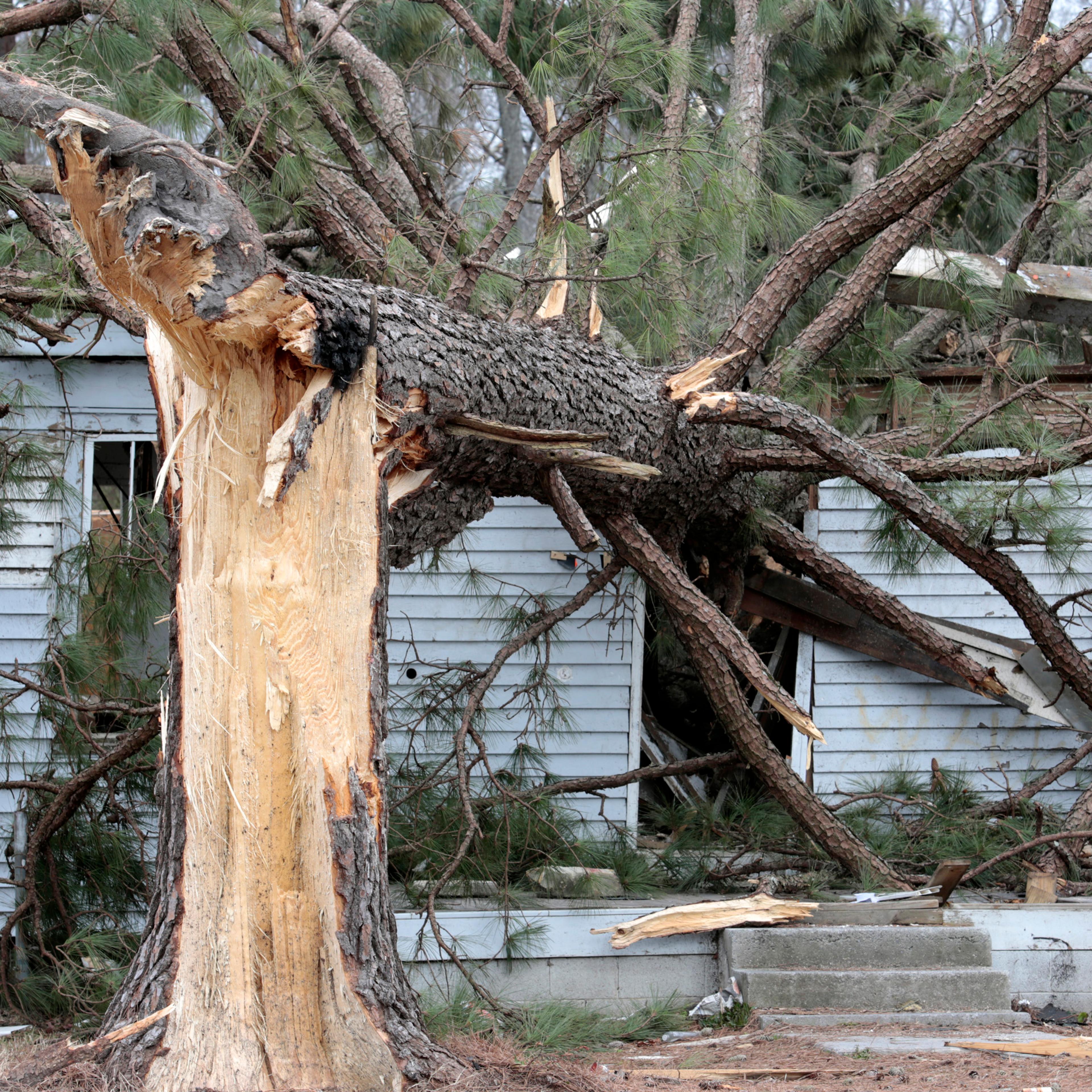 Fatal Tornadoes Rip Through Virginia As Part Of Massive Storm System