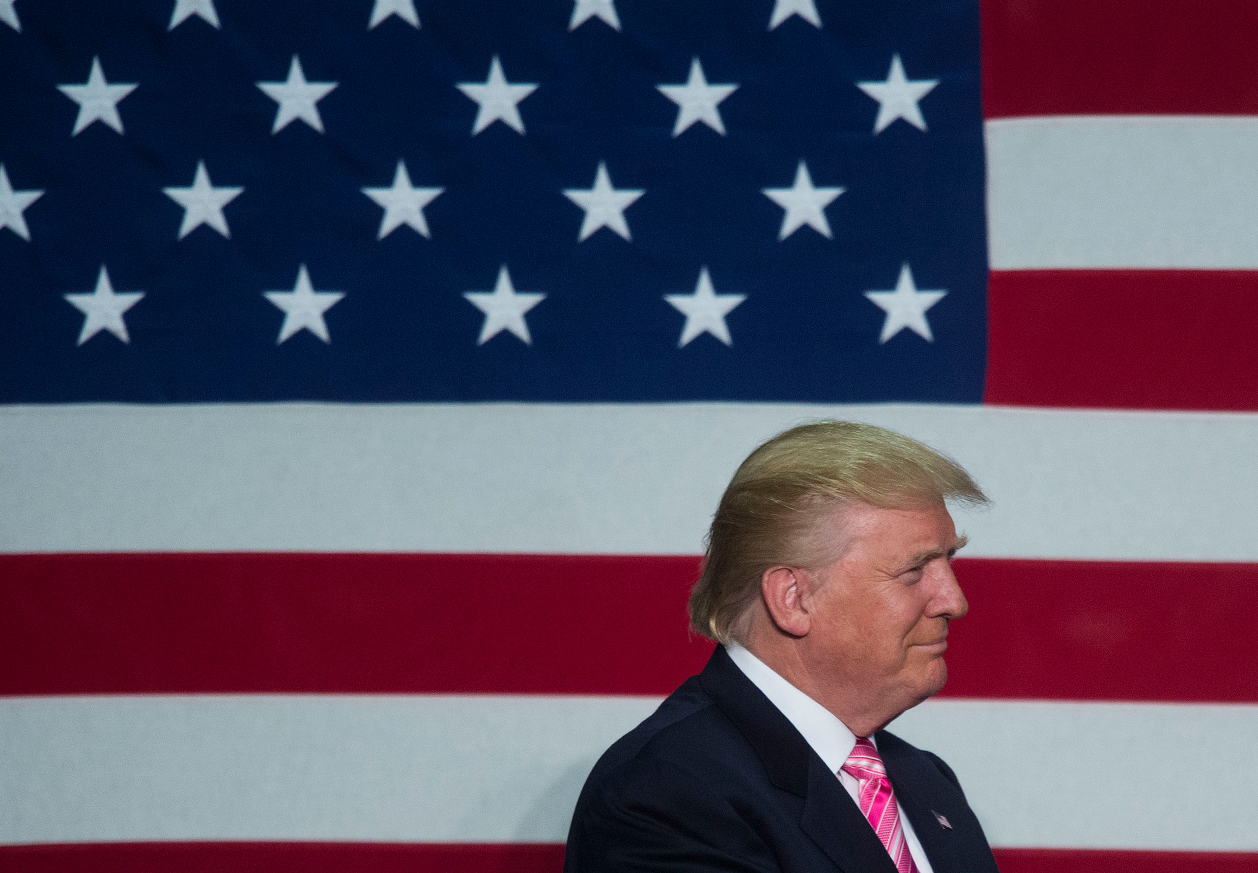 FREDERICKSBURG, VA - AUGUST 20: GOP nominee Donald Trump holds a rally in Fredricksburg, VA on August 20, 2016 in Fredericksburg, Virginia. (Photo by Leigh Vogel/WireImage)