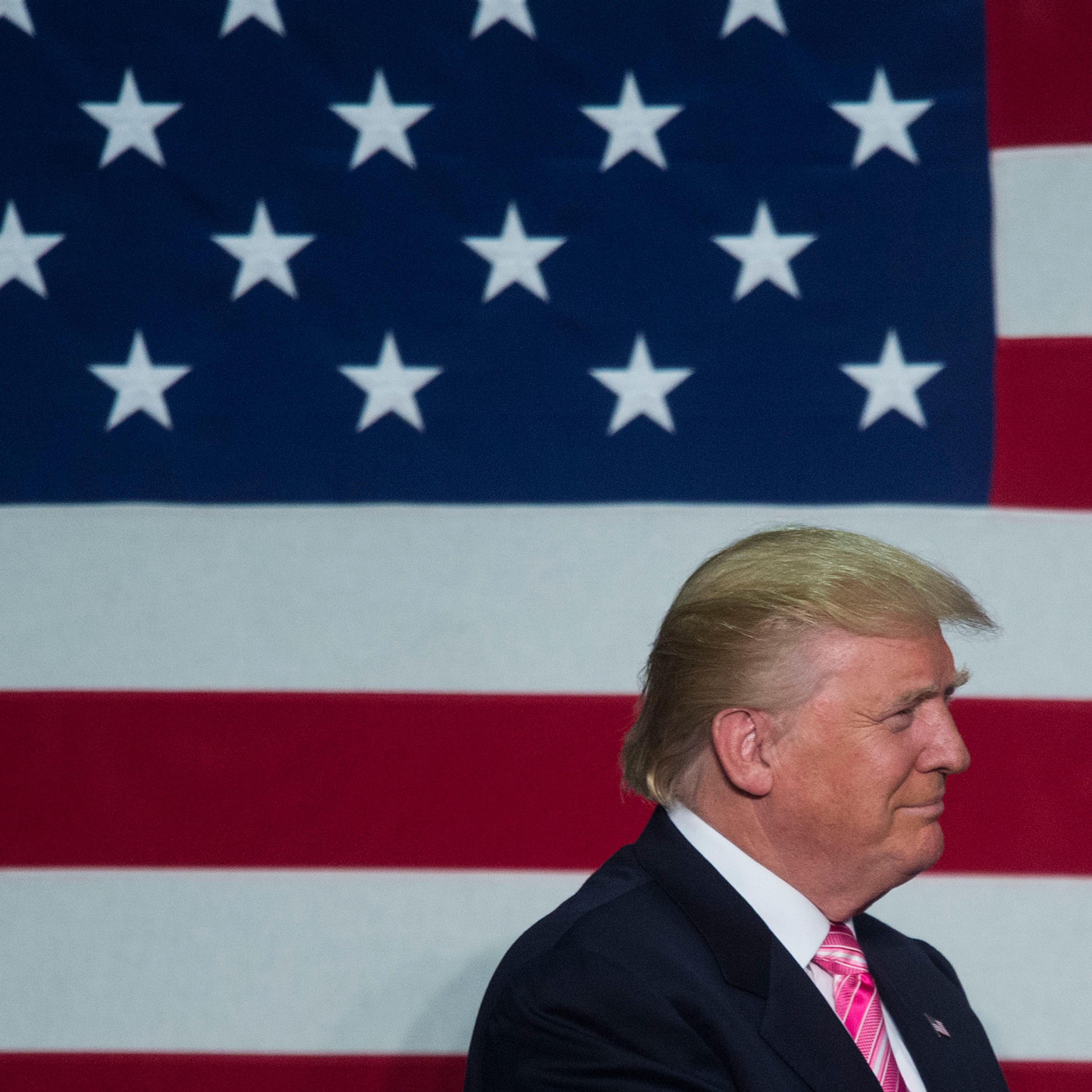 FREDERICKSBURG, VA - AUGUST 20: GOP nominee Donald Trump holds a rally in Fredricksburg, VA on August 20, 2016 in Fredericksburg, Virginia. (Photo by Leigh Vogel/WireImage)