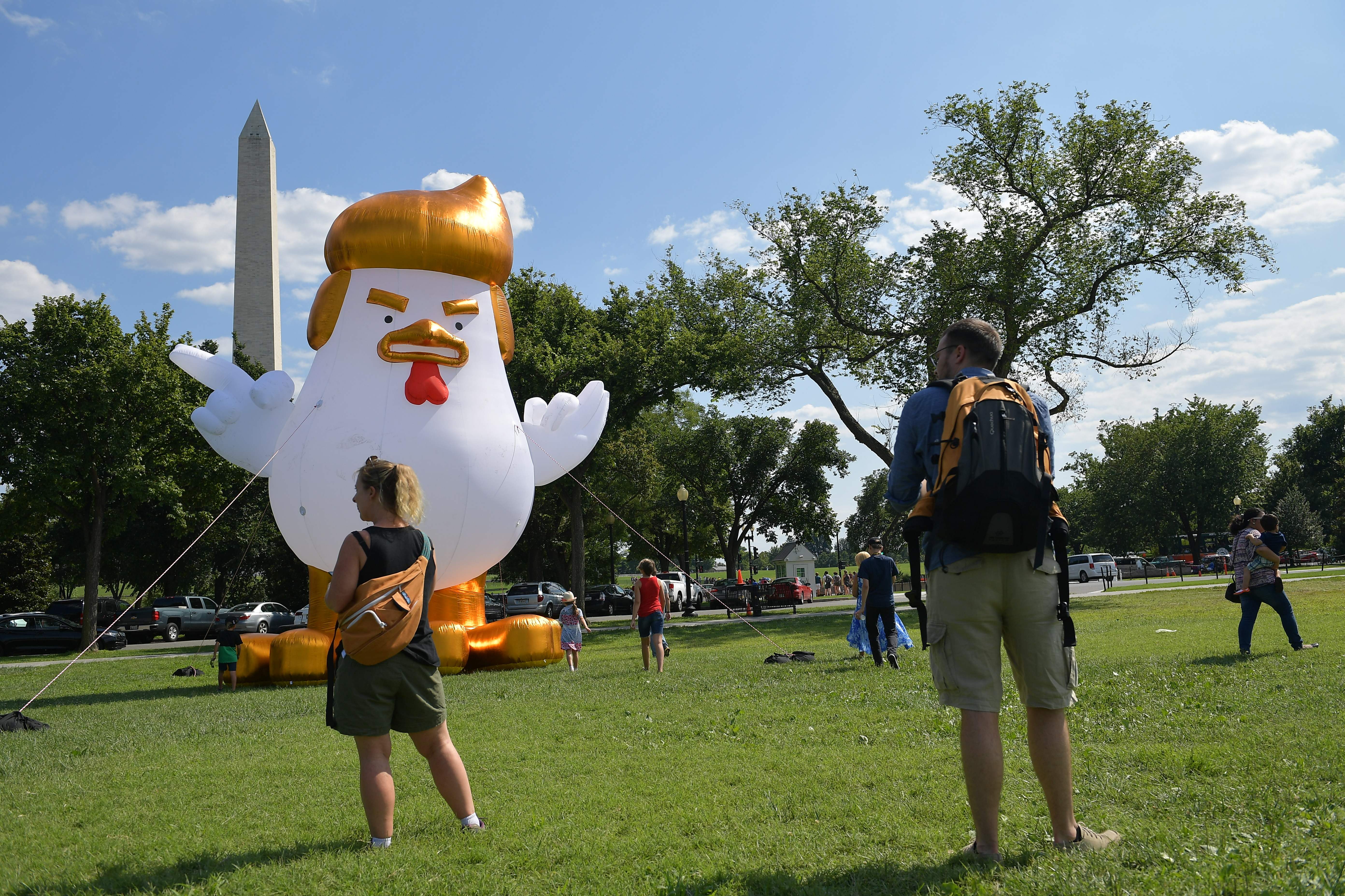 US-POLITICS-OFFBEAT