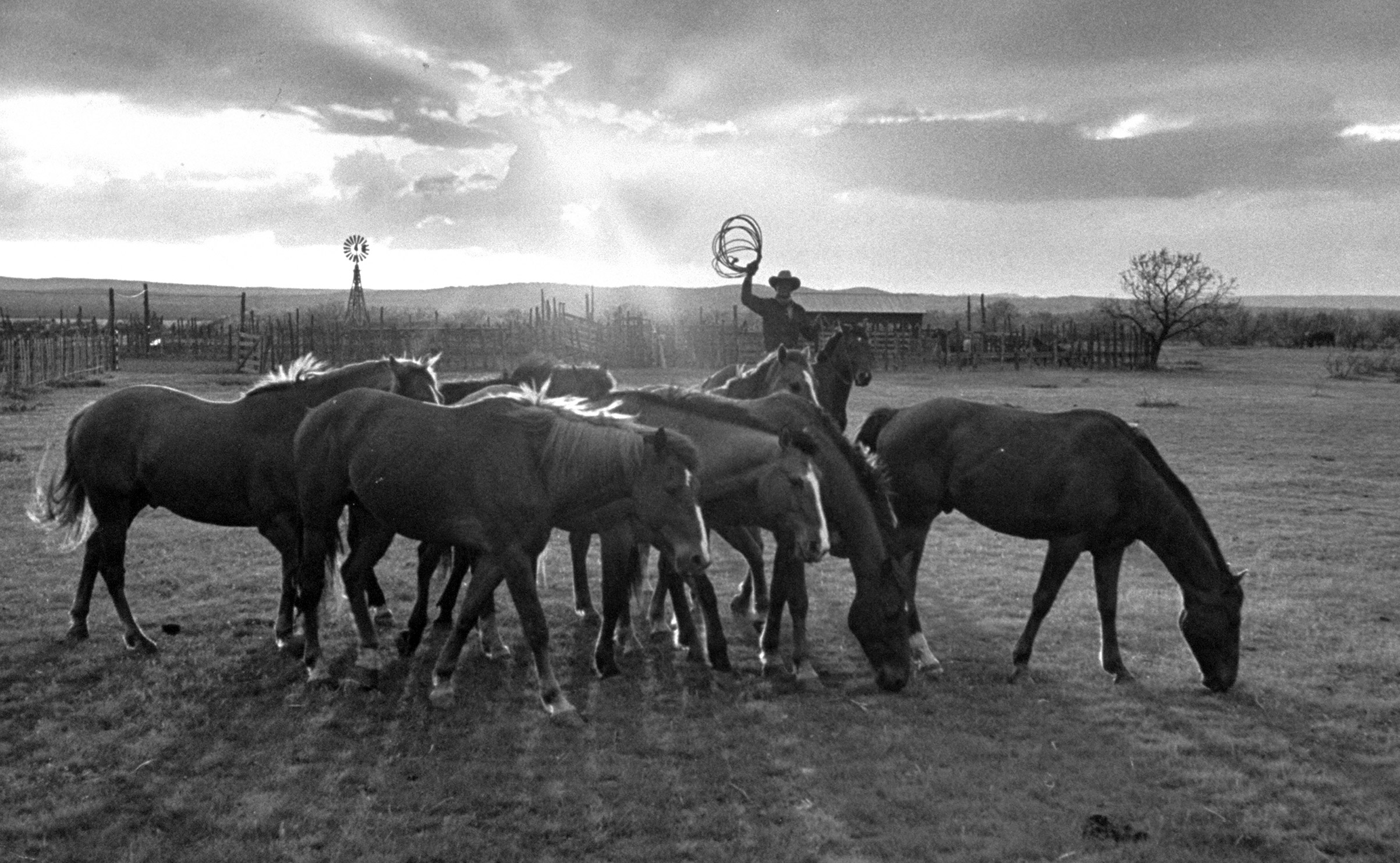 Cowboy Clarence H. Long from the iconic 1949 LIFE magazine cover.