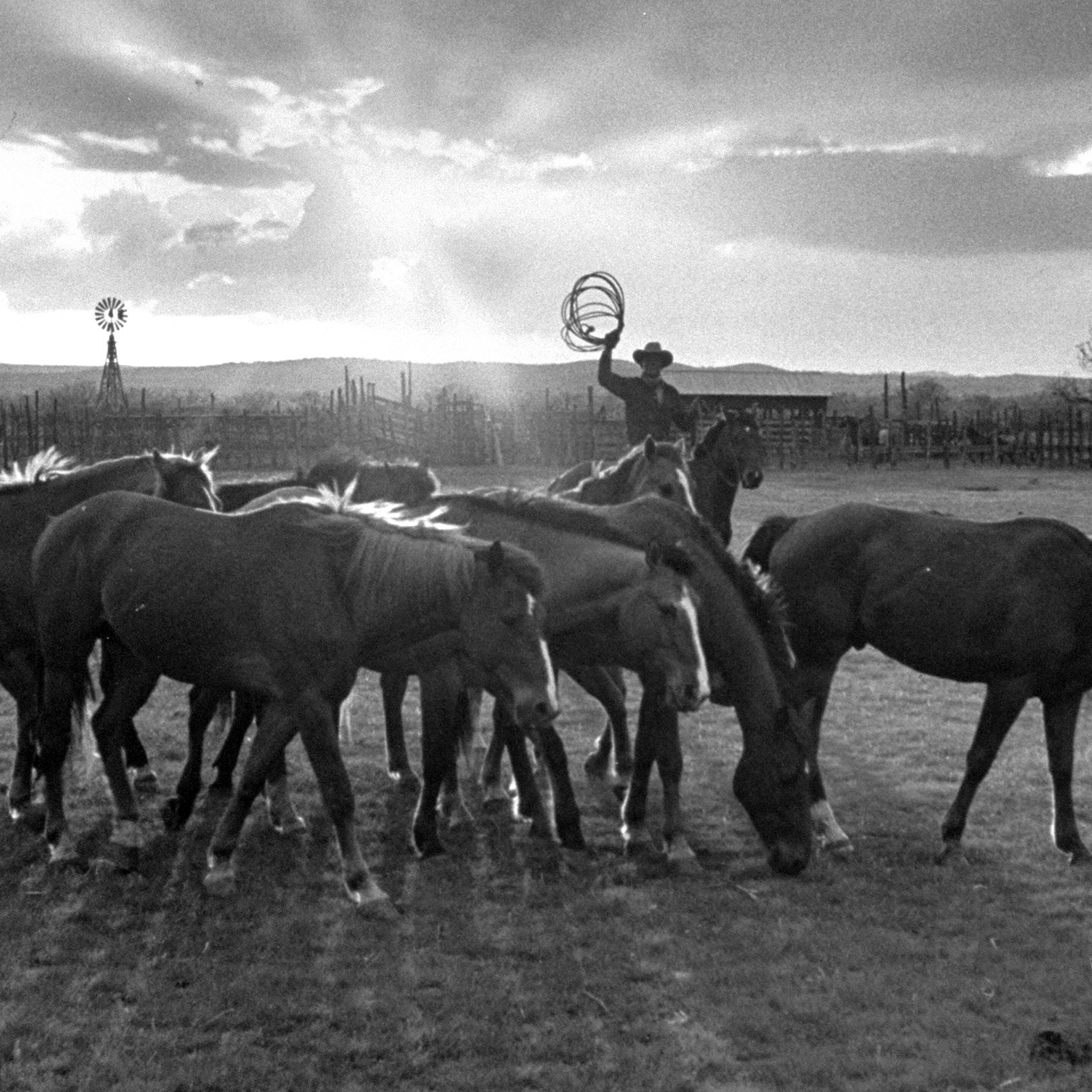 Cowboy Clarence H. Long from the iconic 1949 LIFE magazine cover.