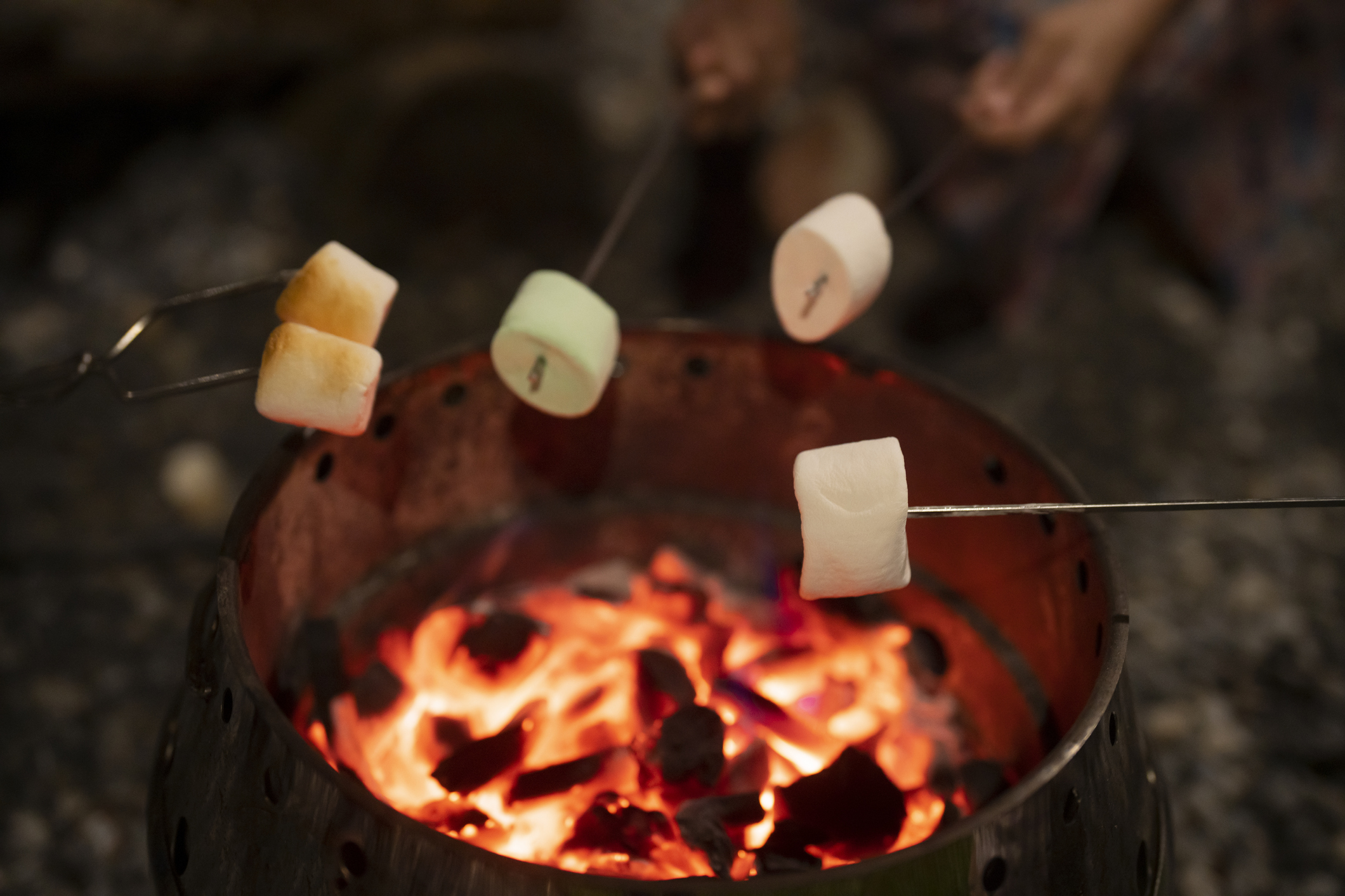 Marshmallows by the Campfire