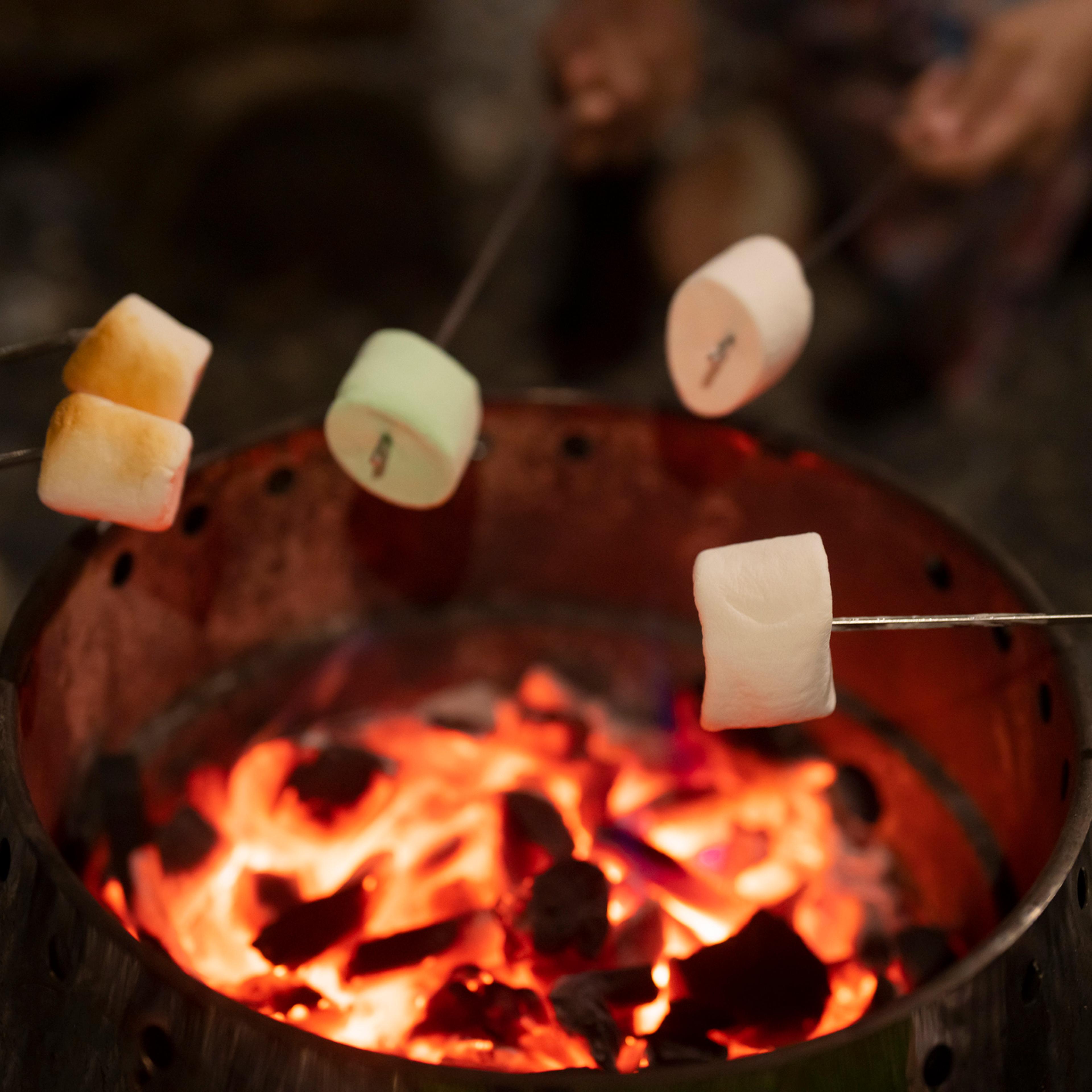 Marshmallows by the Campfire