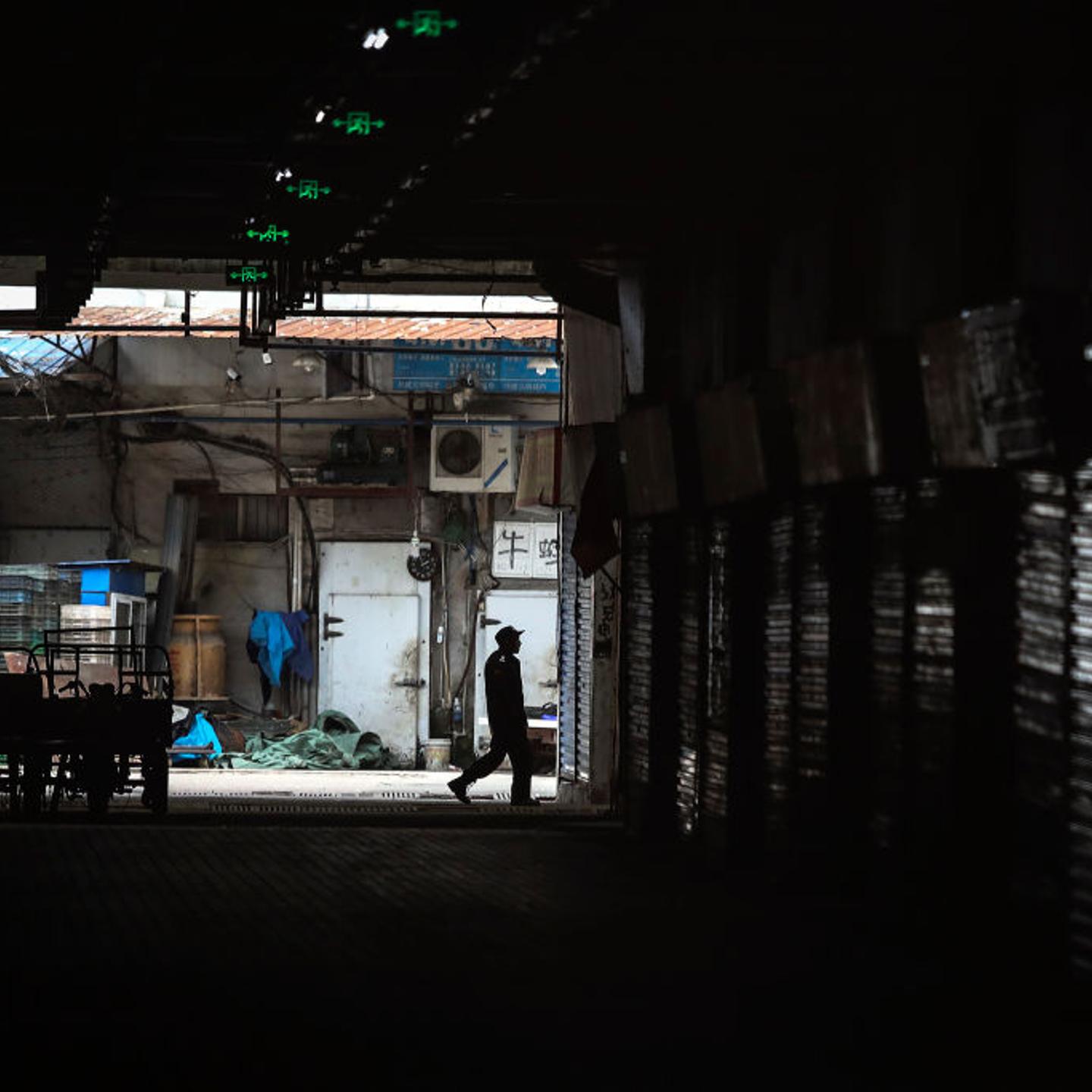 Wuhan Wet Market