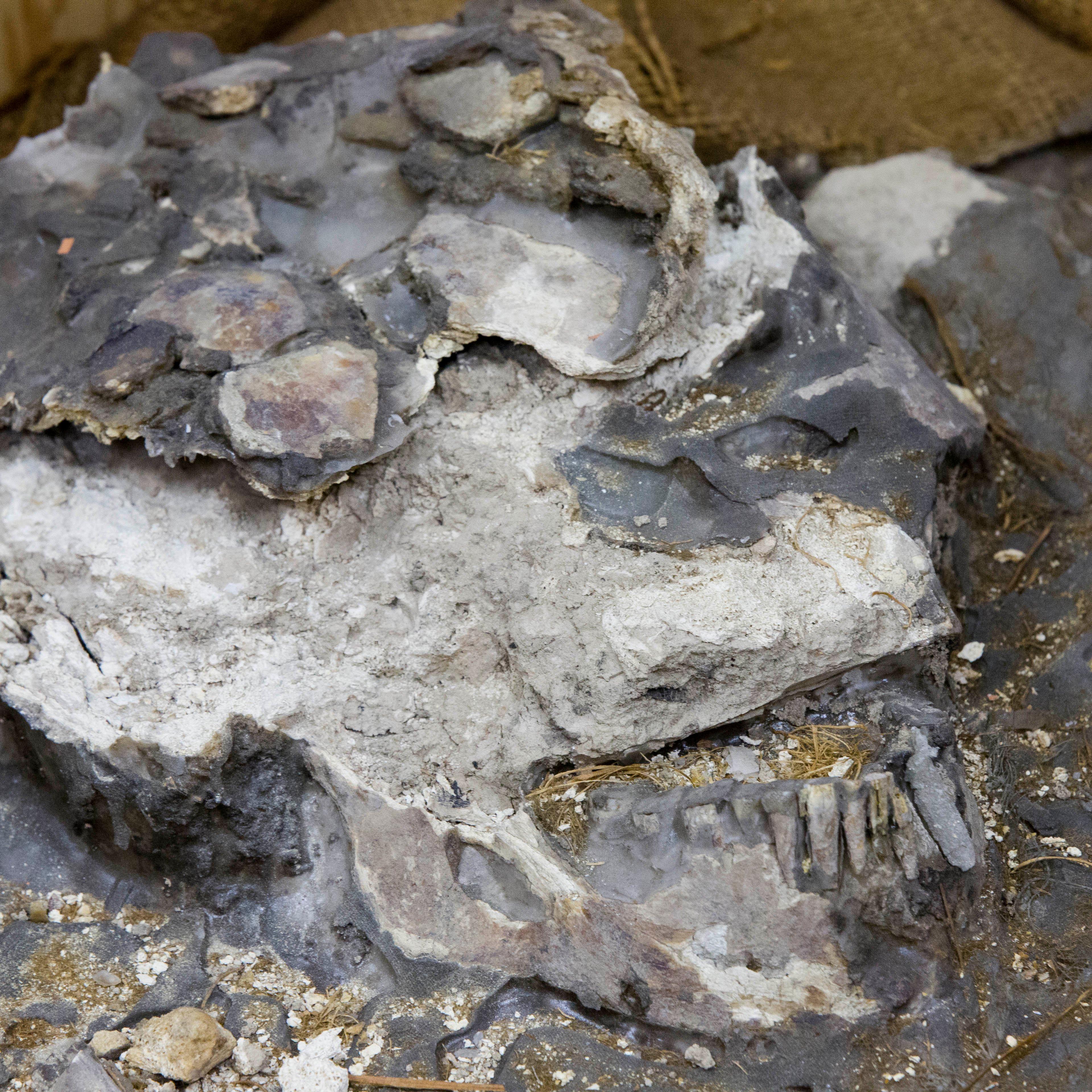 Ancient Skeleton