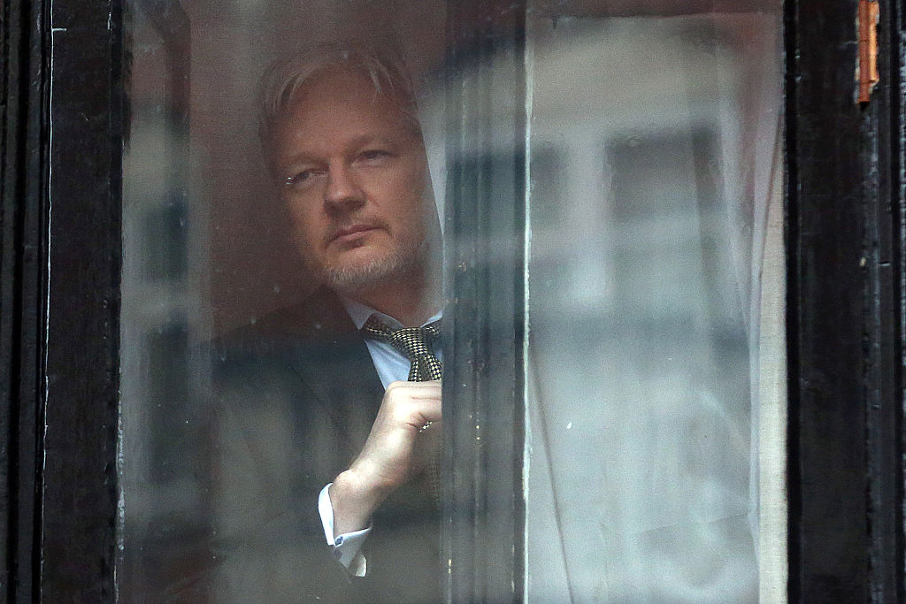 WikiLeaks and Julian Assange Unnerve Transparency Advocates