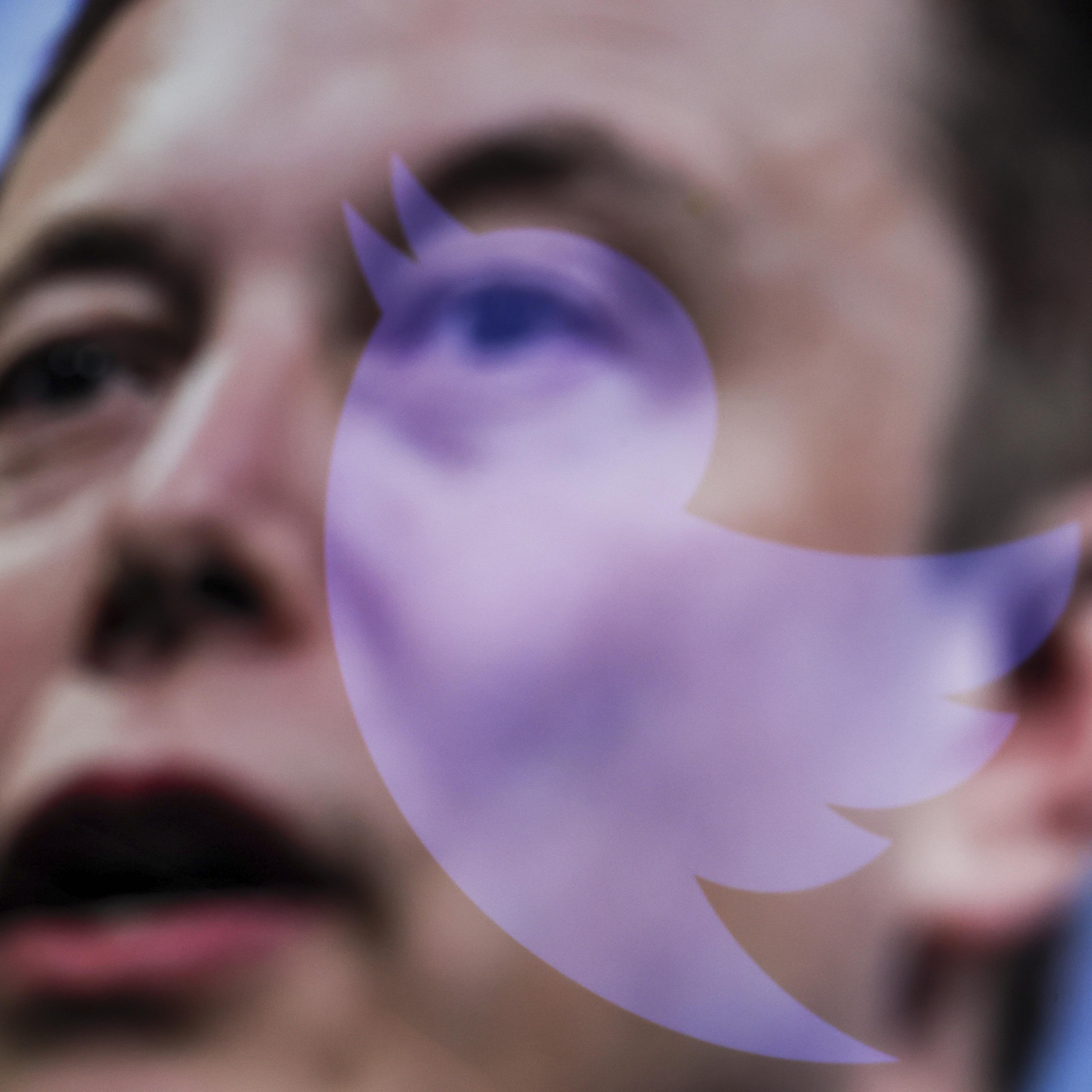 Elon Musk and Twitter