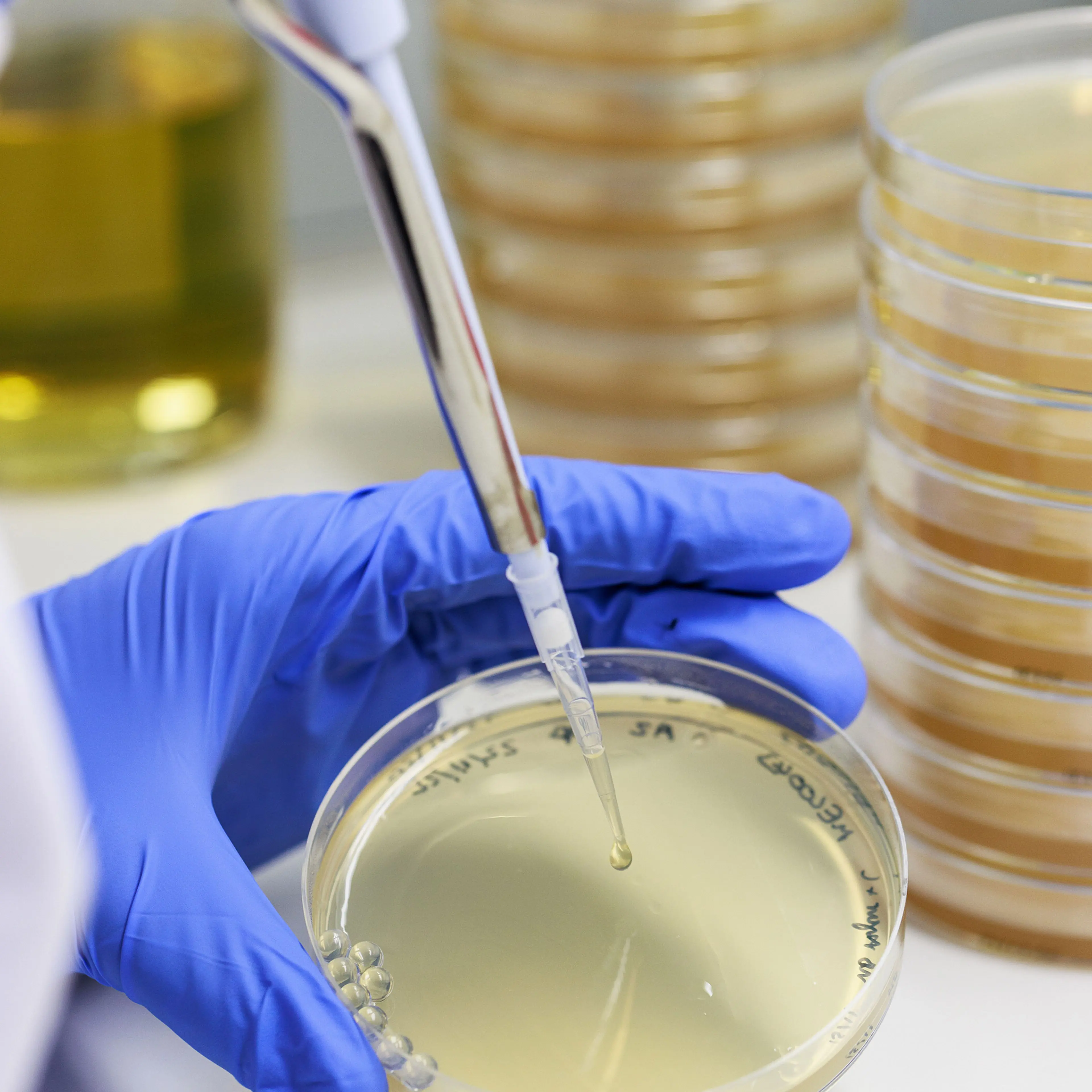 Epoch Biodesign used AI to design enzymes for three major plastic groups, to help process waste.