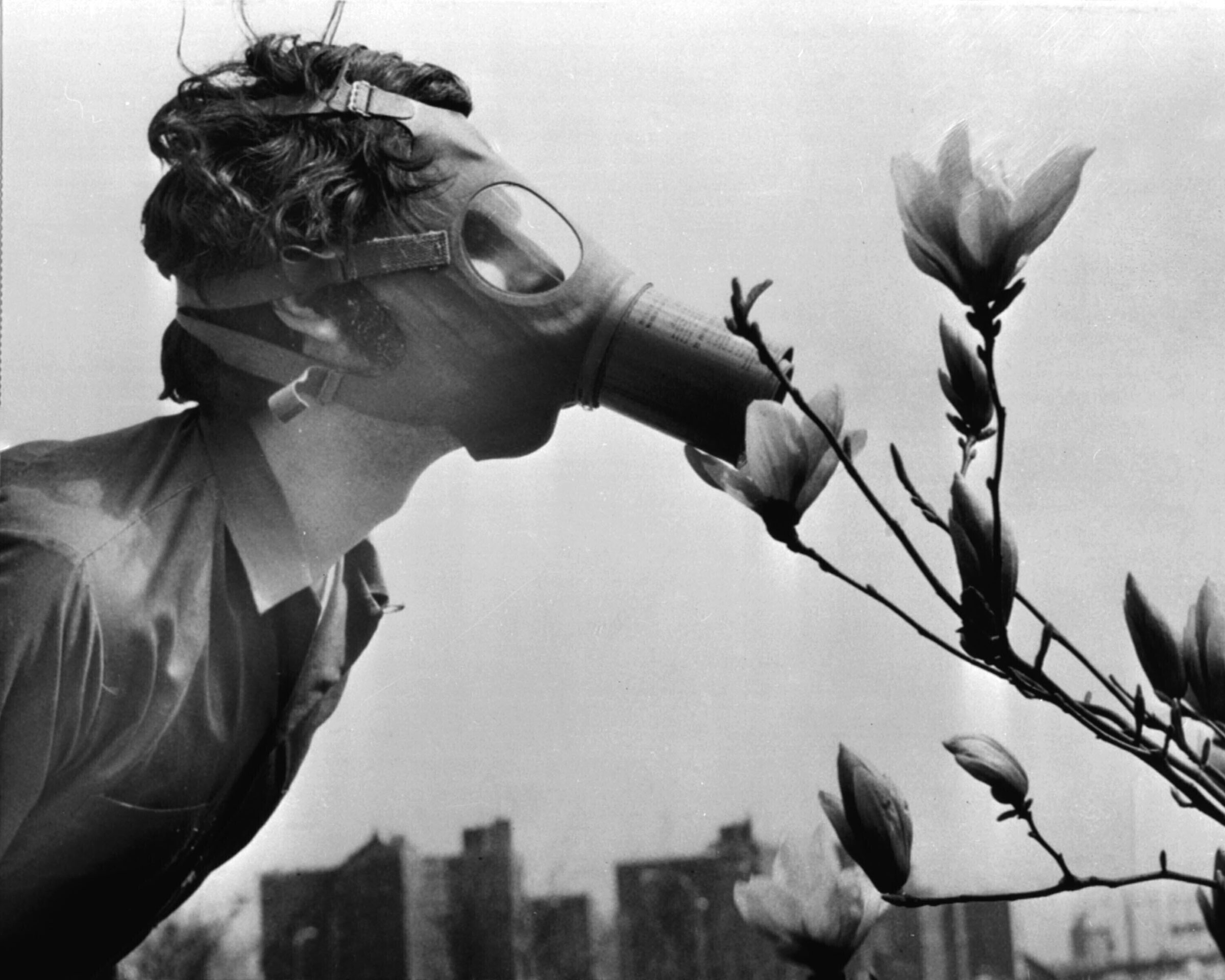 A college student in a gas mask "smells" a magnolia blossom on the first Earth Day, New York City, April 22, 1970.
