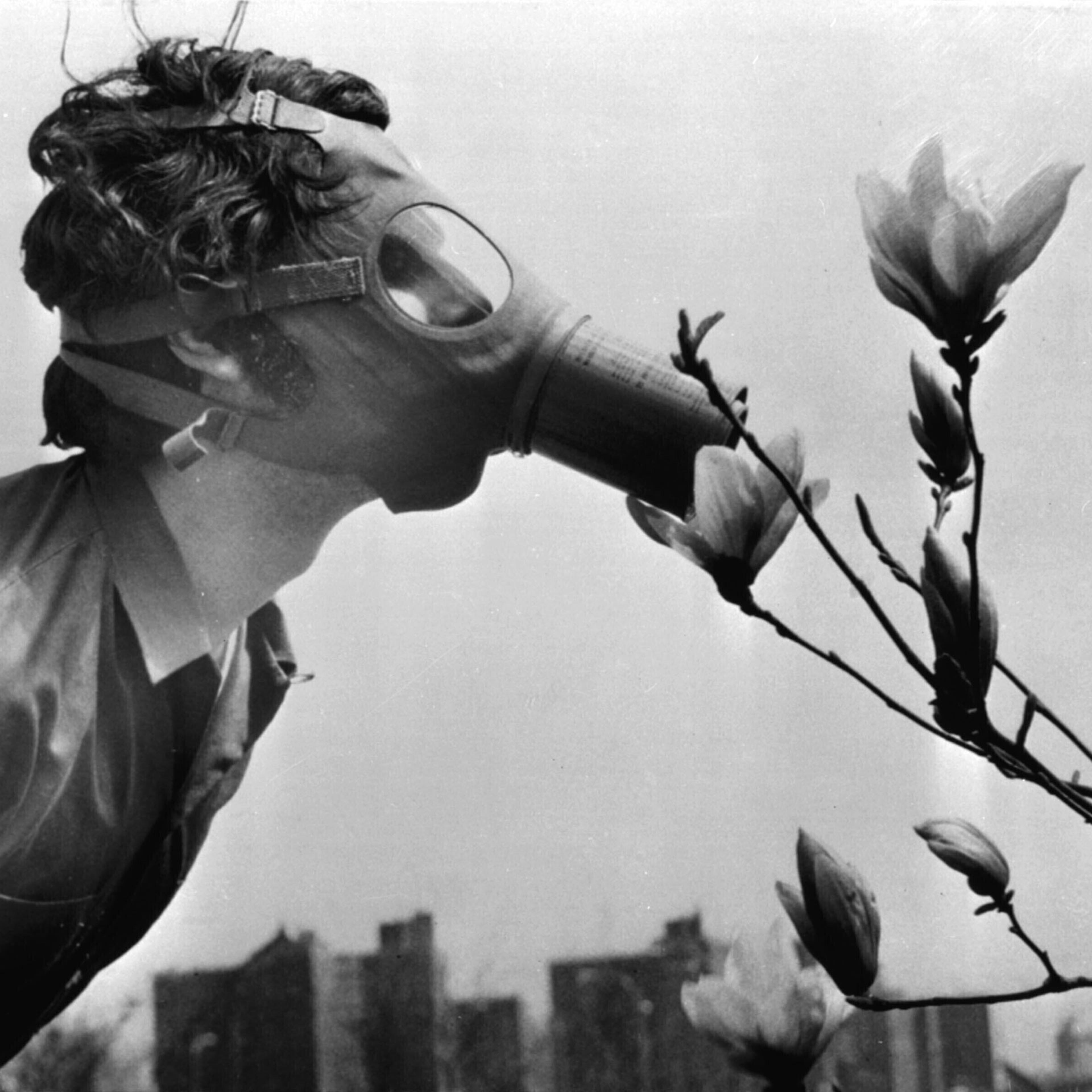A college student in a gas mask "smells" a magnolia blossom on the first Earth Day, New York City, April 22, 1970.