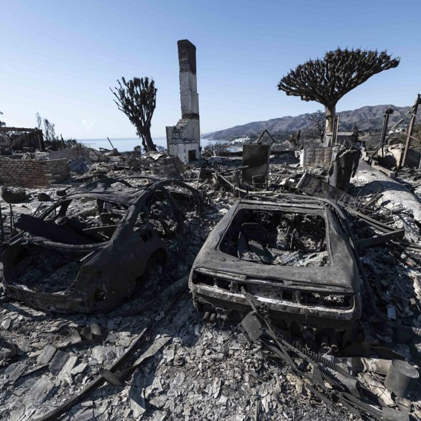 Damage after Palisade Fire in Pacific Palisades, California