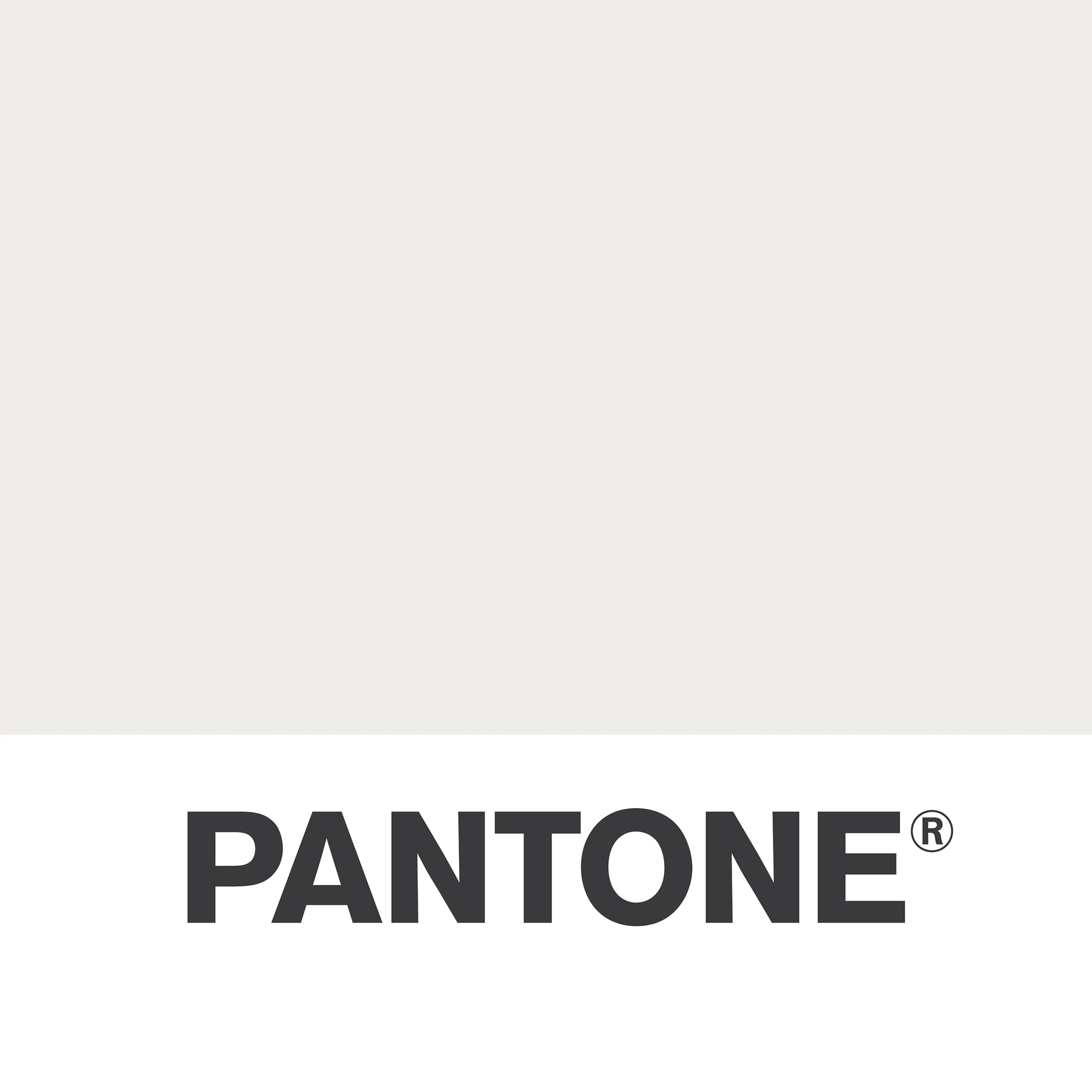 Pantone Cloud Dancer swatch.