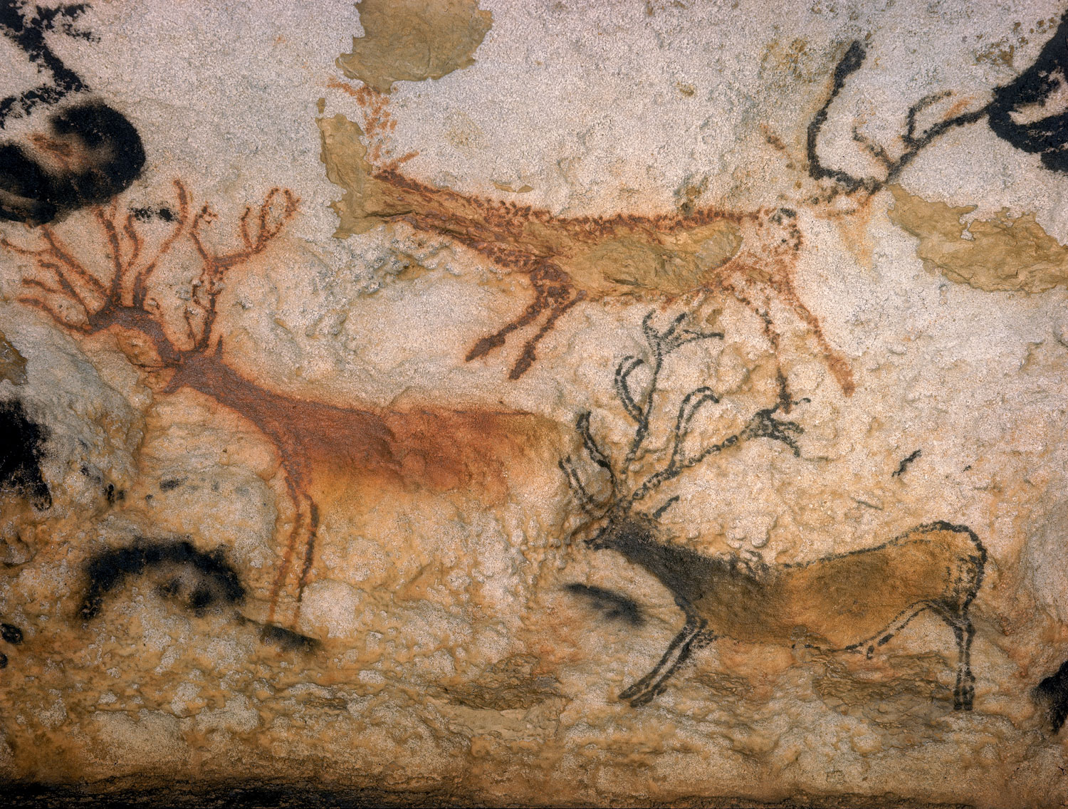 Lascaux: Early Color Photos of the Famous Cave Paintings, France 1947