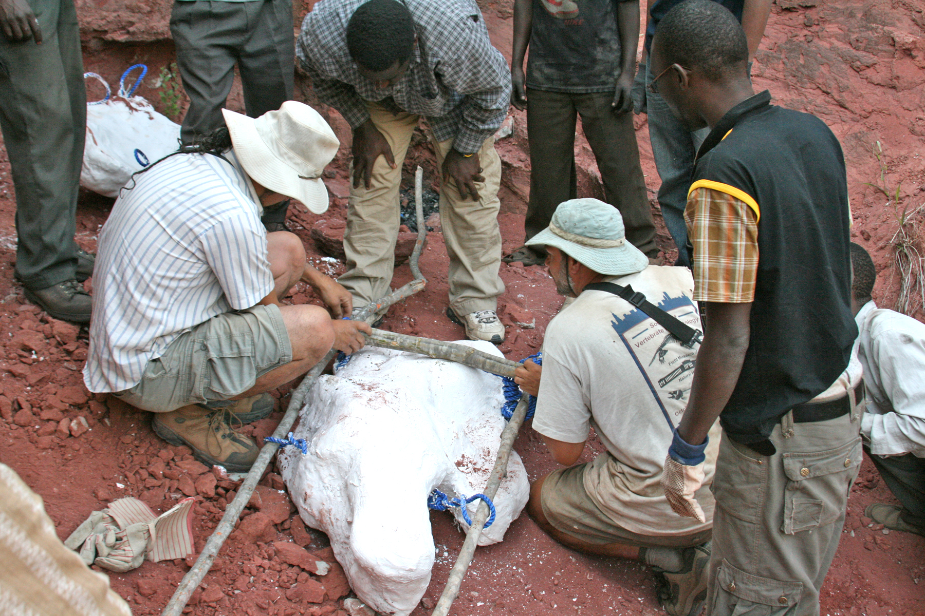 Rukwa Rift Basin Project field team members constructing a litter in order to carry large plaster jacket containing the Rukwatitan skeleton.